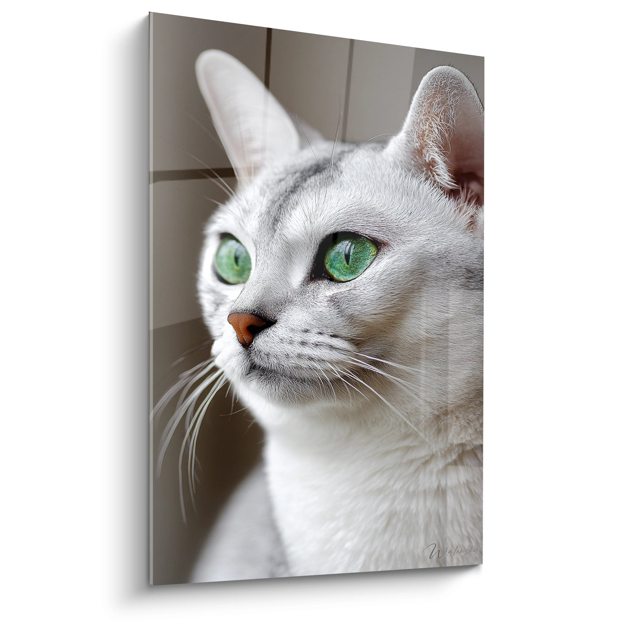 Portrait tableau chat Burmilla aux yeux verts émeraude, pelage argenté, regard contemplatif, art mural félin élégant