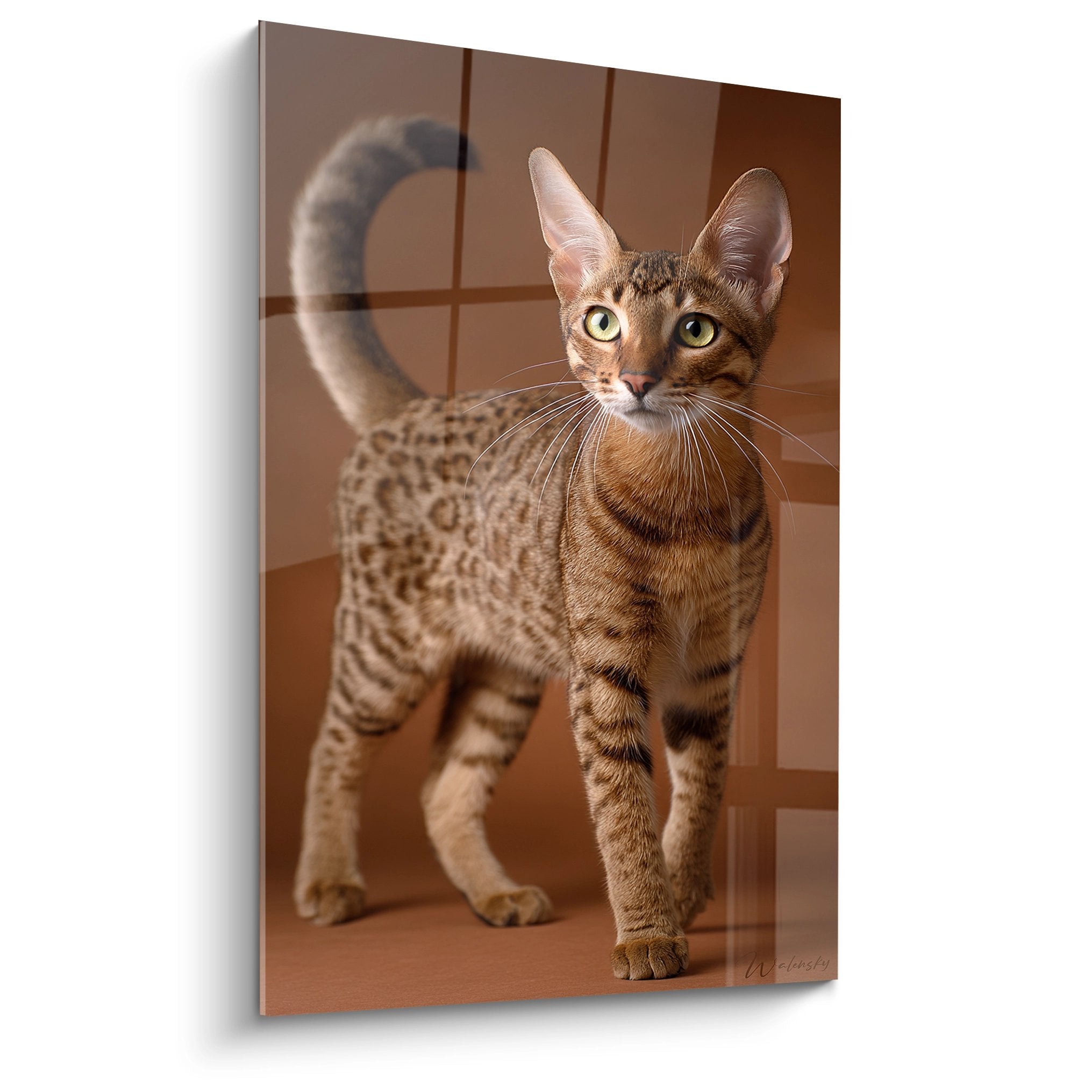 Quadro murale che rappresenta un gatto Serengeti con occhi dorati in movimento su piastrelle terracotta