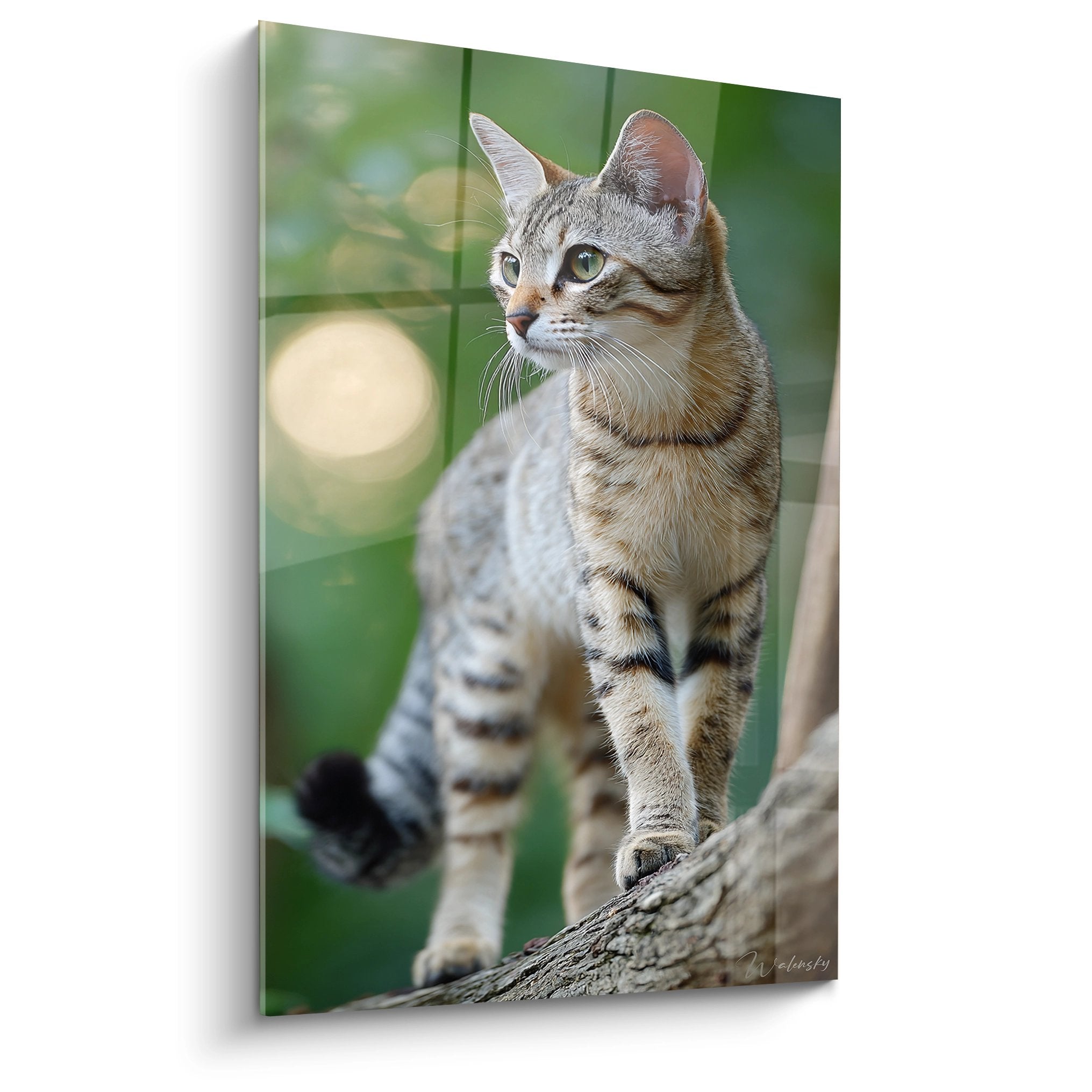 Sokoke tabby cat painting perched on branch alert gaze wall art feline rare breed decoration