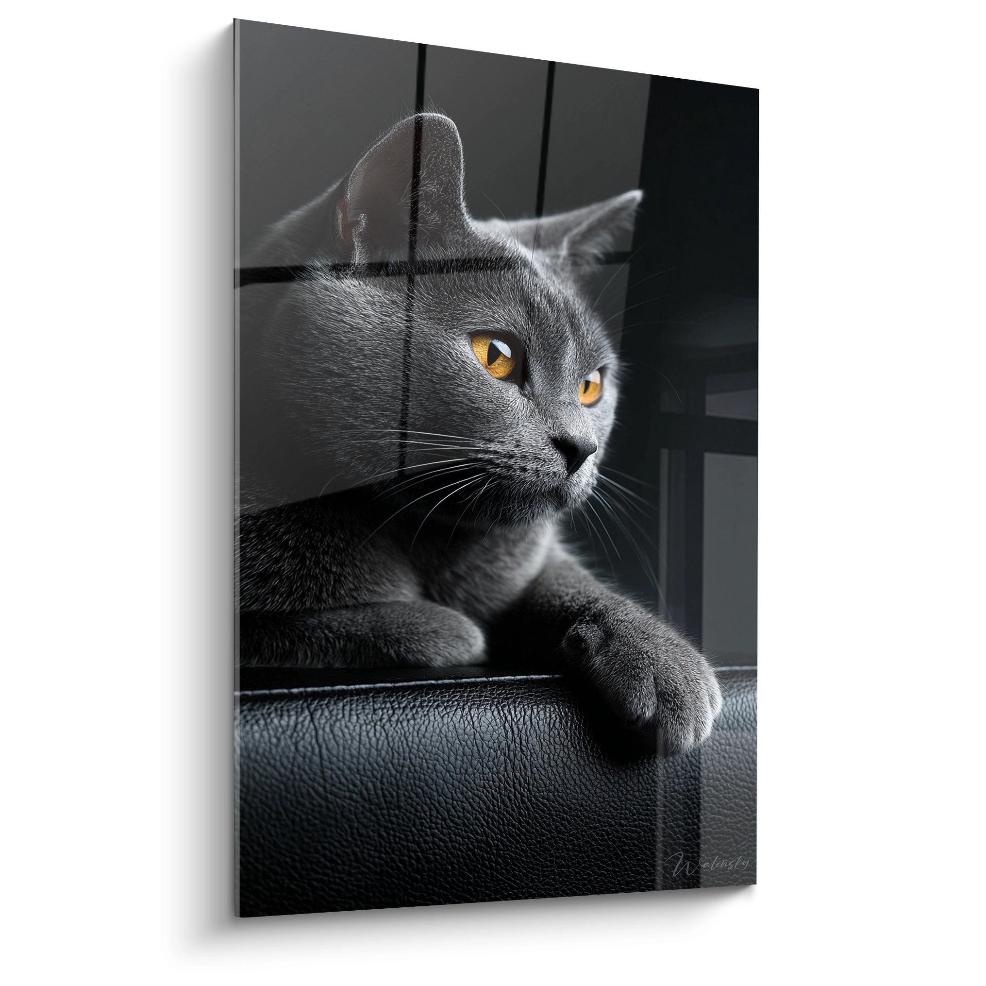 Tableau mural chat Chartreux gris aux yeux dorés posé sur canapé cuir noir, portrait artistique en noir et blanc