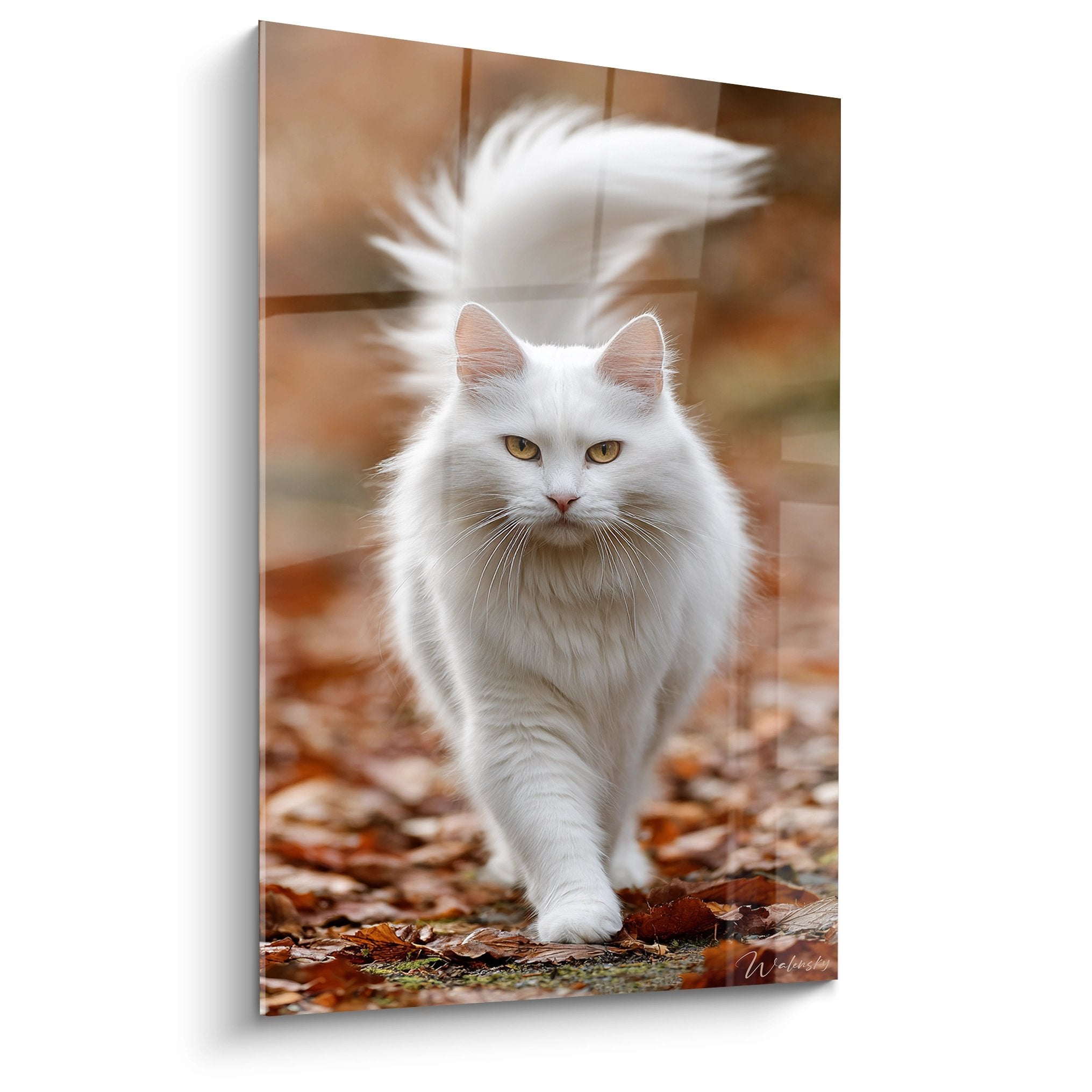 Tableau chat siberien blanc aux yeux dores en mouvement sur feuilles automne art mural premium decoration