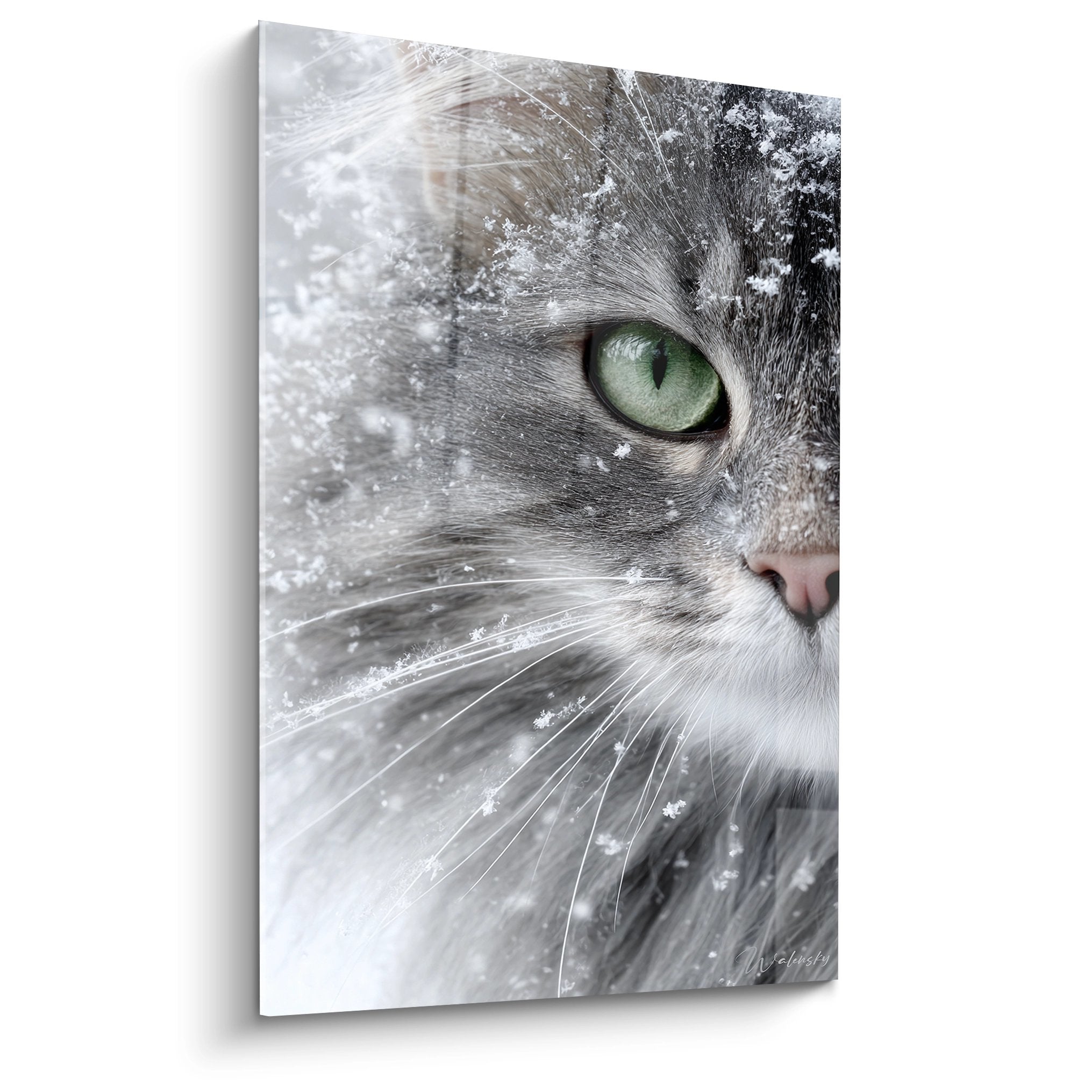 Tableau portrait chat gris aux yeux verts sous la neige, art mural felin hivernal American Bobtail