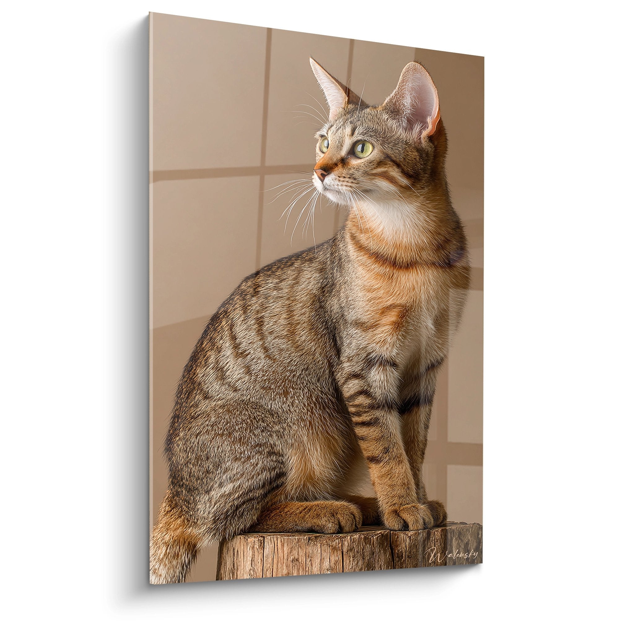 Quadro murale raffigurante un gatto Sokoke seduto elegantemente su un tronco, con occhi verdi penetranti e mantello tabby