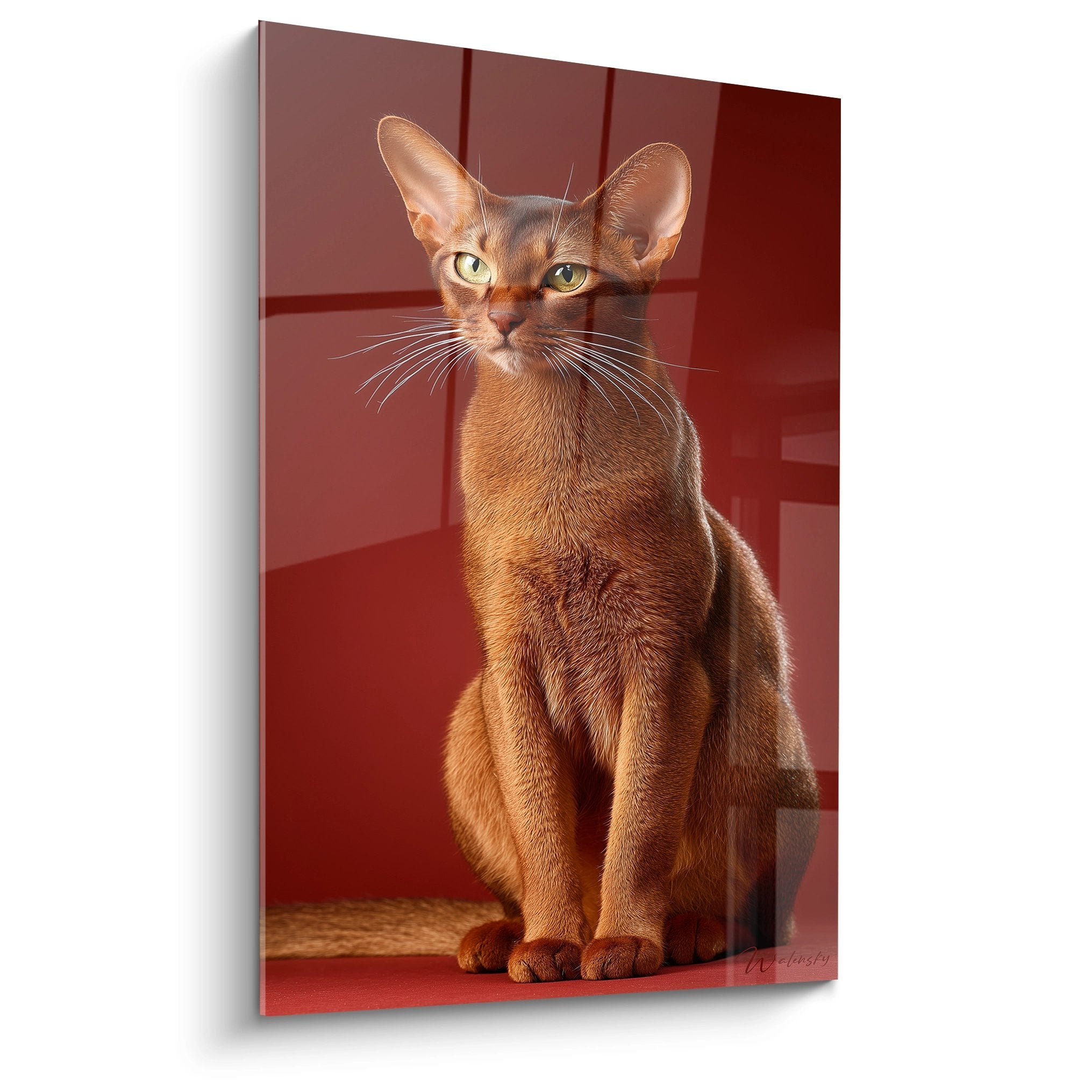 Quadro di un gatto Abissino rosso seduto elegantemente su sfondo rosso bordeaux, sguardo penetrante e orecchie dritte