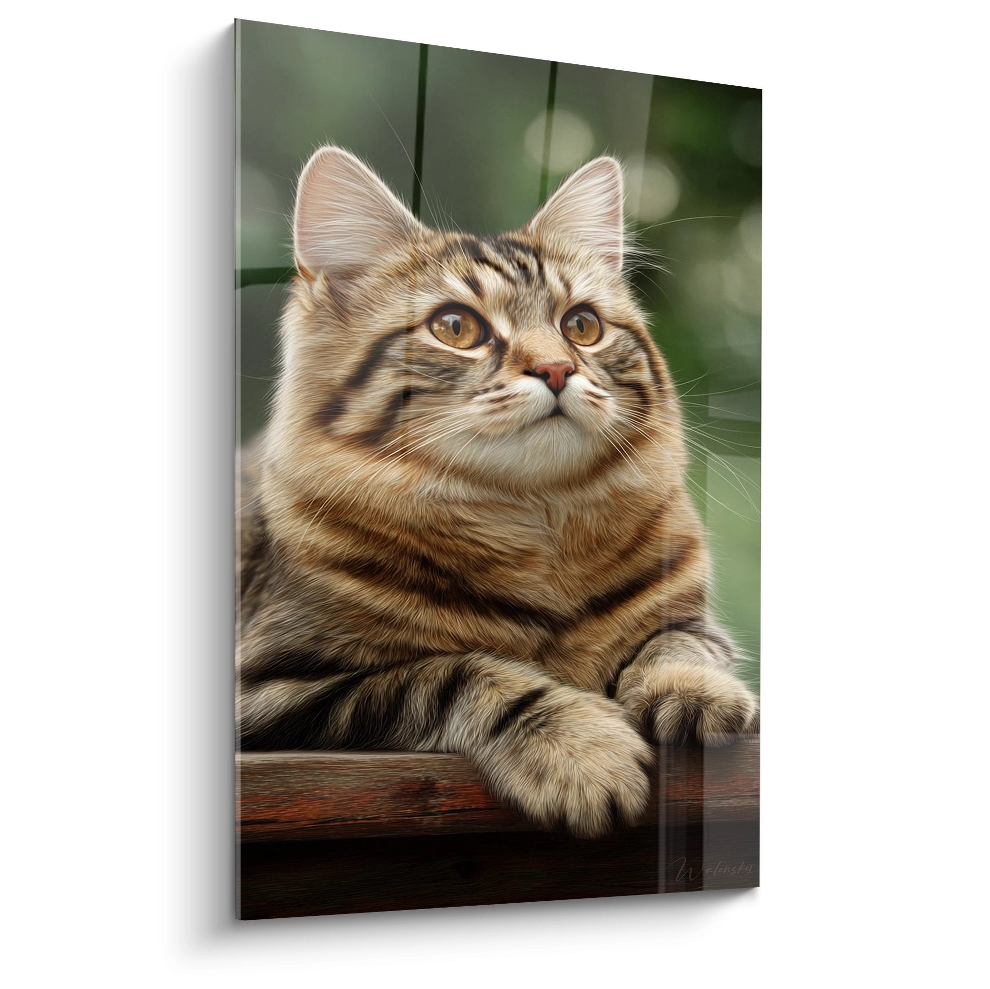 Tableau chat American Bobtail majestueux aux yeux ambrés posé sur surface bois, pelage tabby détaillé