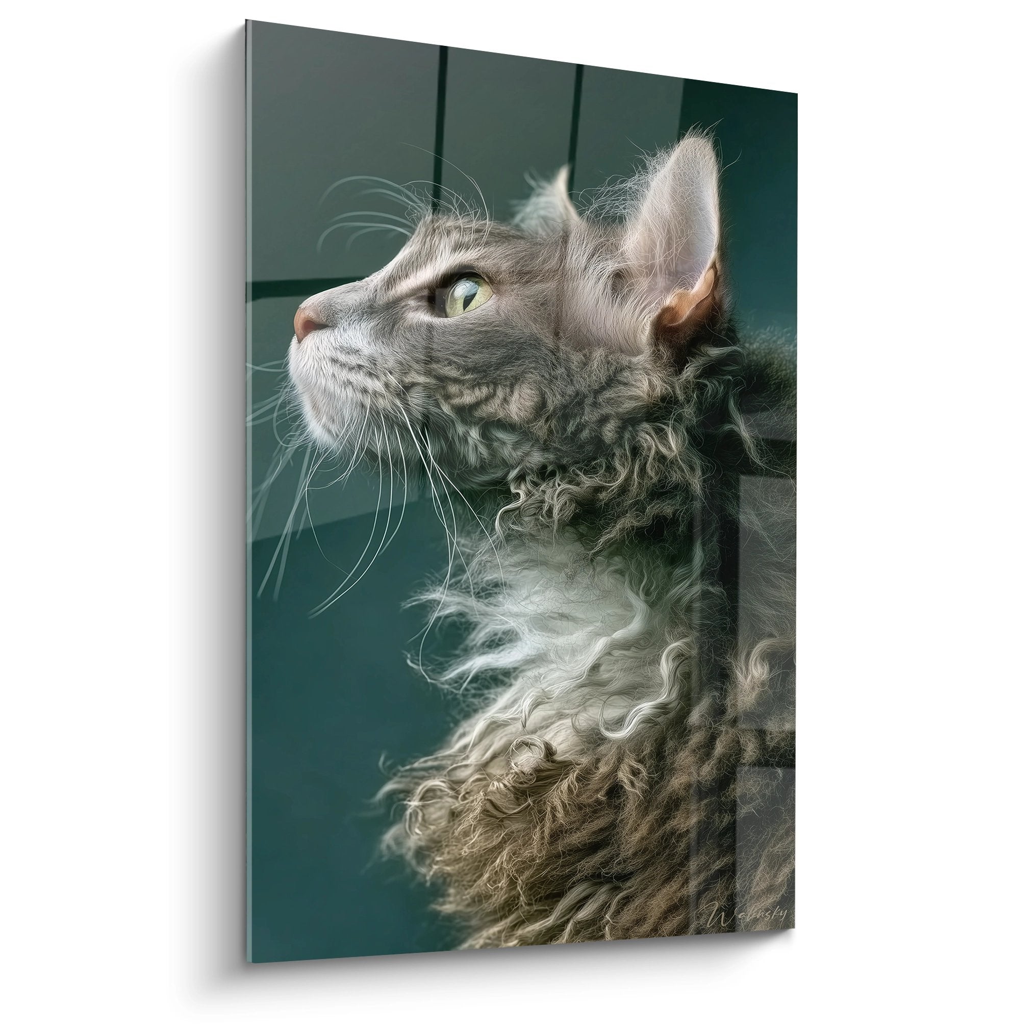 Ritratto artistico di un gatto Laperm con pelage riccio grigio e bianco che guarda verso l'alto su sfondo verde smeraldo