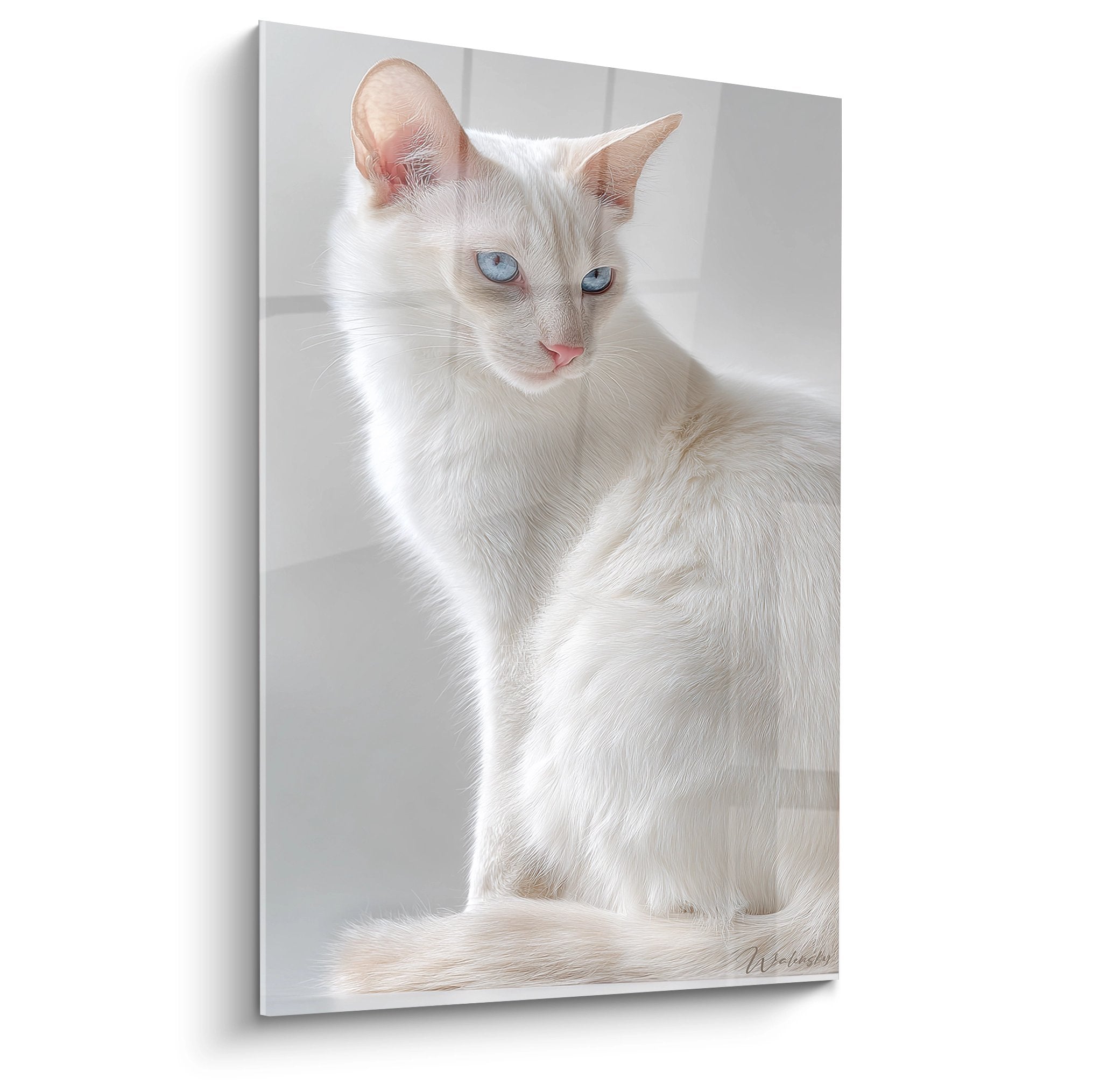 Tableau chat Balinais blanc aux yeux bleus dans pose contemplative sur toile décorative murale premium
