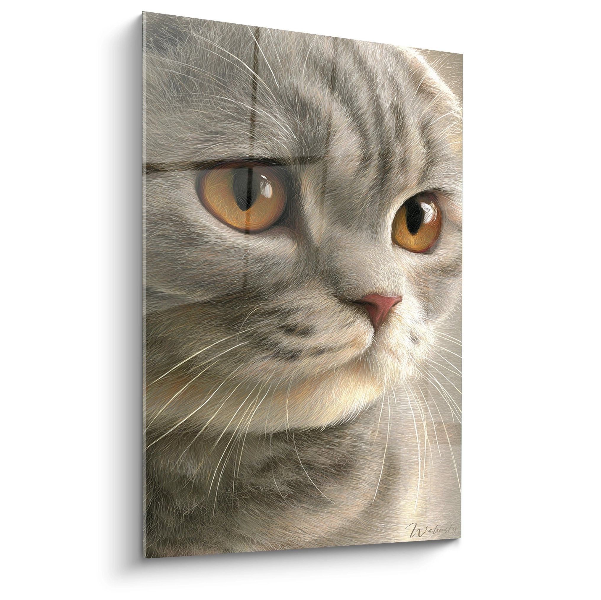 Realistic portrait of a Scottish Fold cat with golden amber eyes on decorative wall art