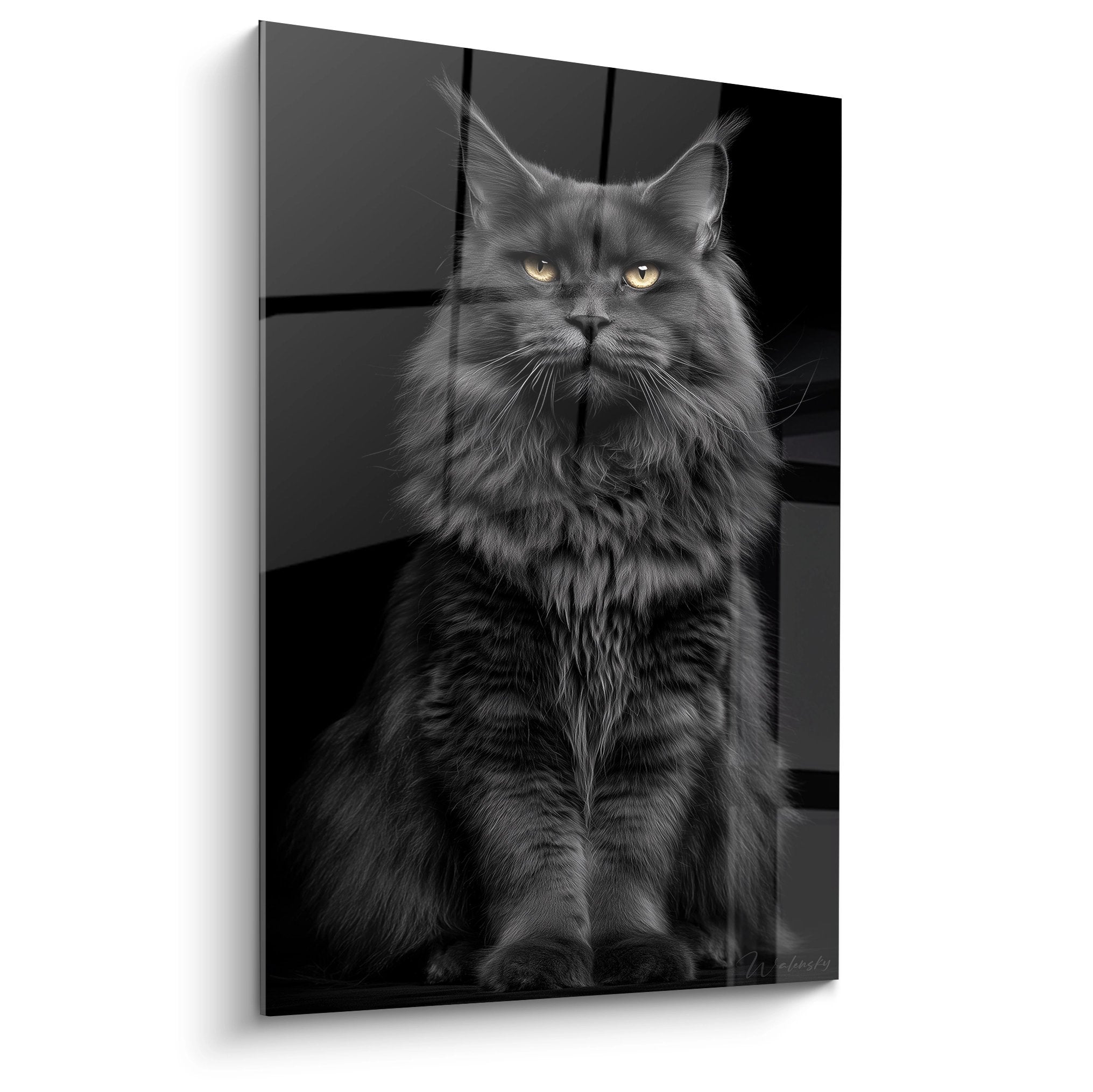 Quadro murale Maine Coon maestoso in ritratto bianco e nero con occhi dorati, pelo lungo e orecchie appuntite