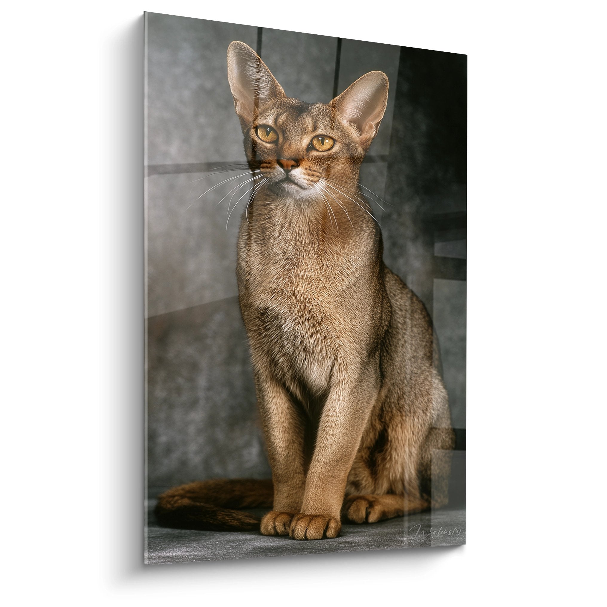 Portrait artistique chat Chausie aux yeux dores assis sur pierre, tableau decoration feline moderne