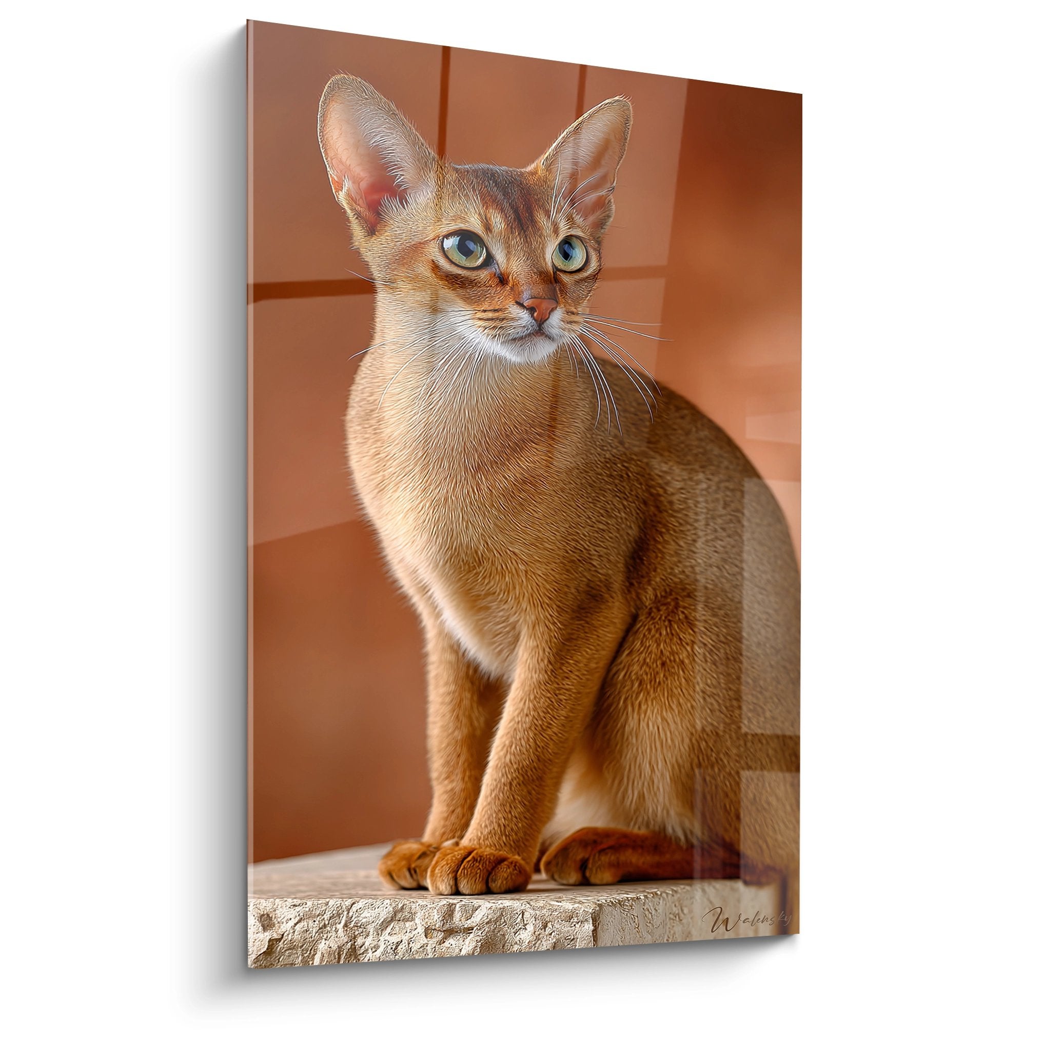 Tableau artistique chat Singapura aux yeux bleus assis sur rebord, pelage dore, decoration murale premium