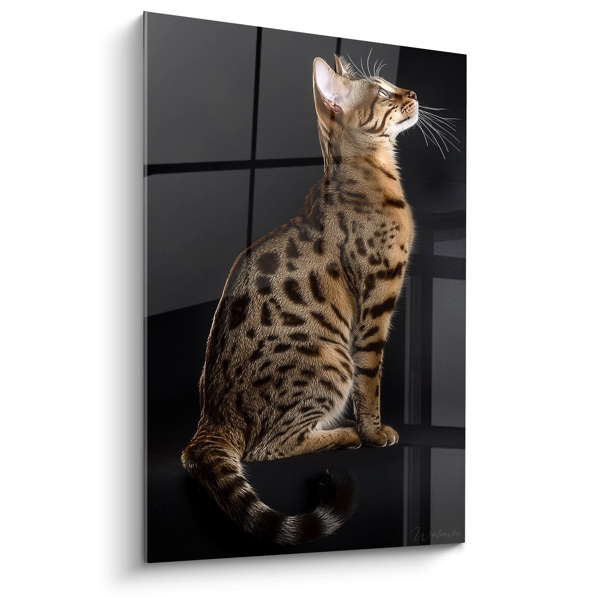 Tableau chat Savannah assis regardant vers le haut, pelage tigre dore sur fond noir, art mural felin