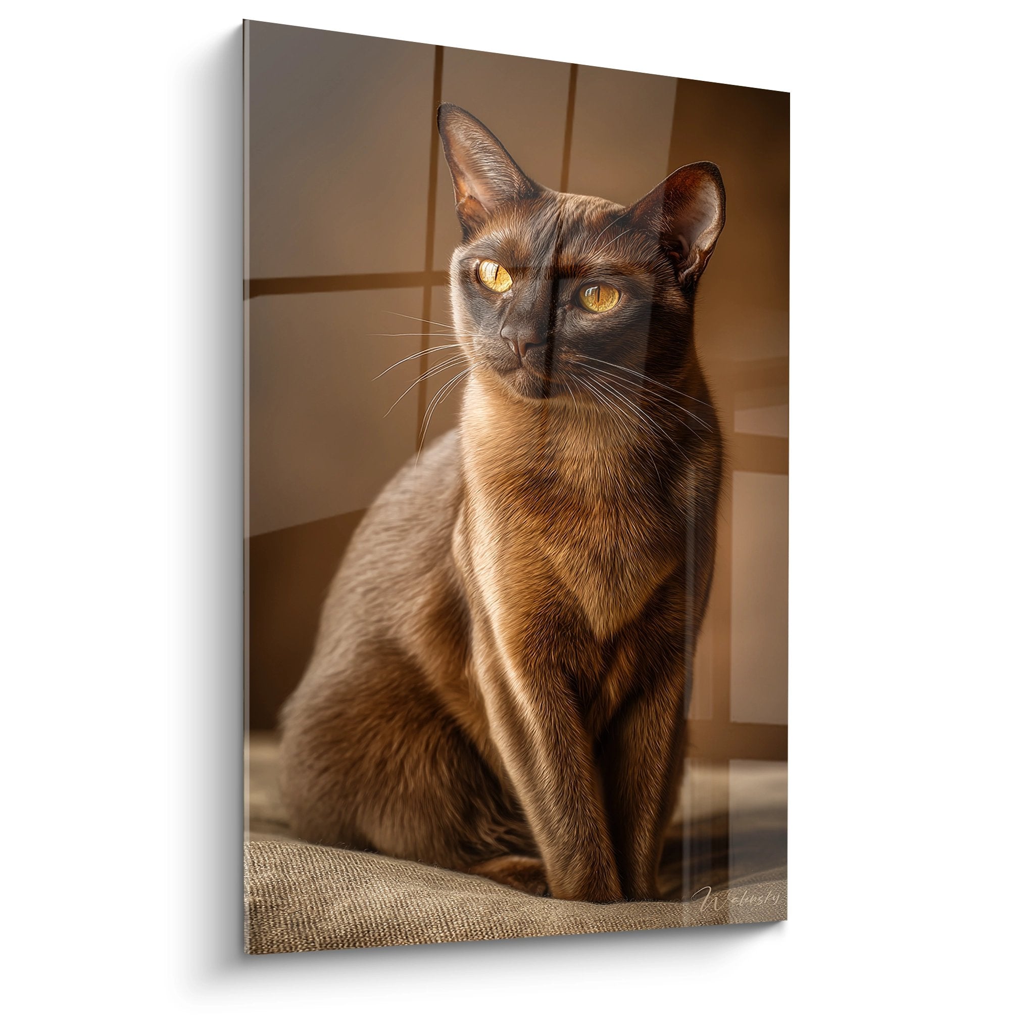 Quadro ritratto gatto Birmano elegante con occhi dorati in una decorazione calda e luminosa
