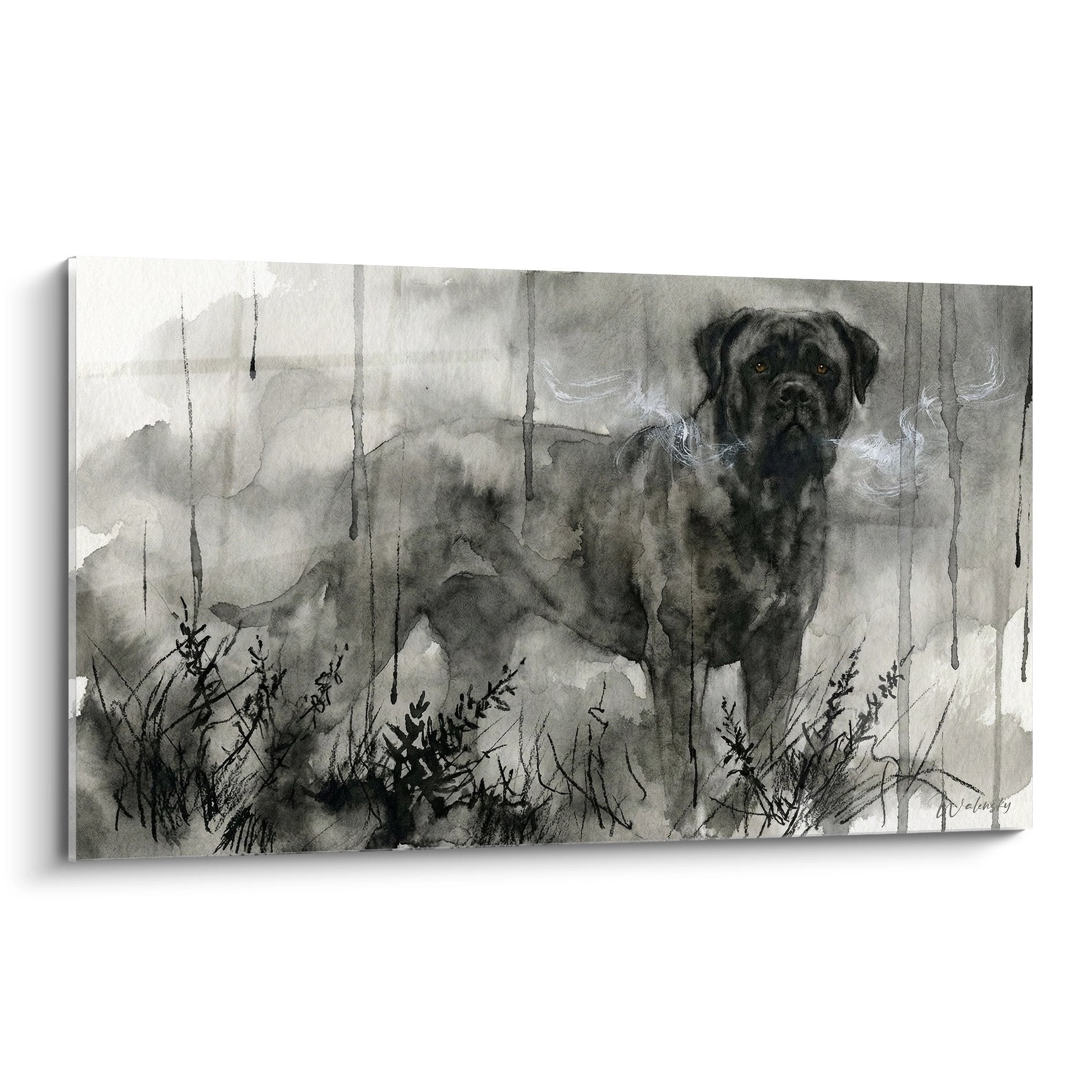 Aquarelle Bullmastiff sous la pluie tons gris et yeux dorés vegetation premier plan tableau mural canin