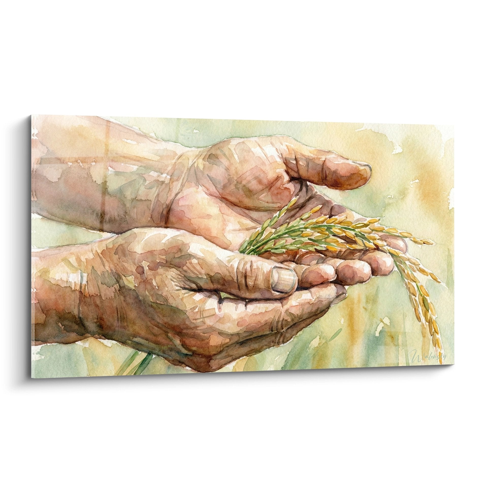 Aquarelle mains tenant épis de riz tons ocre et brun art traditionnel agriculture