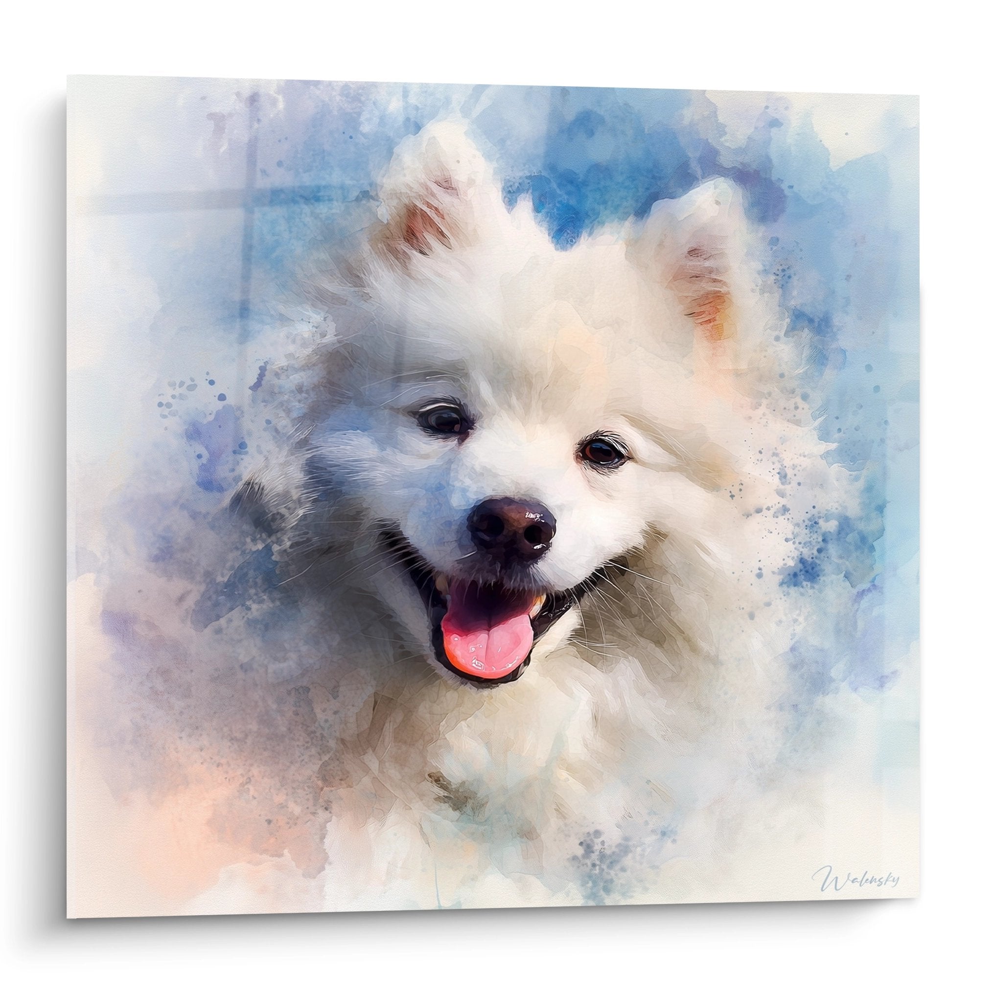 Aquarelle Spitz Japonais souriant pelage blanc nuances bleues langue rose art mural chien