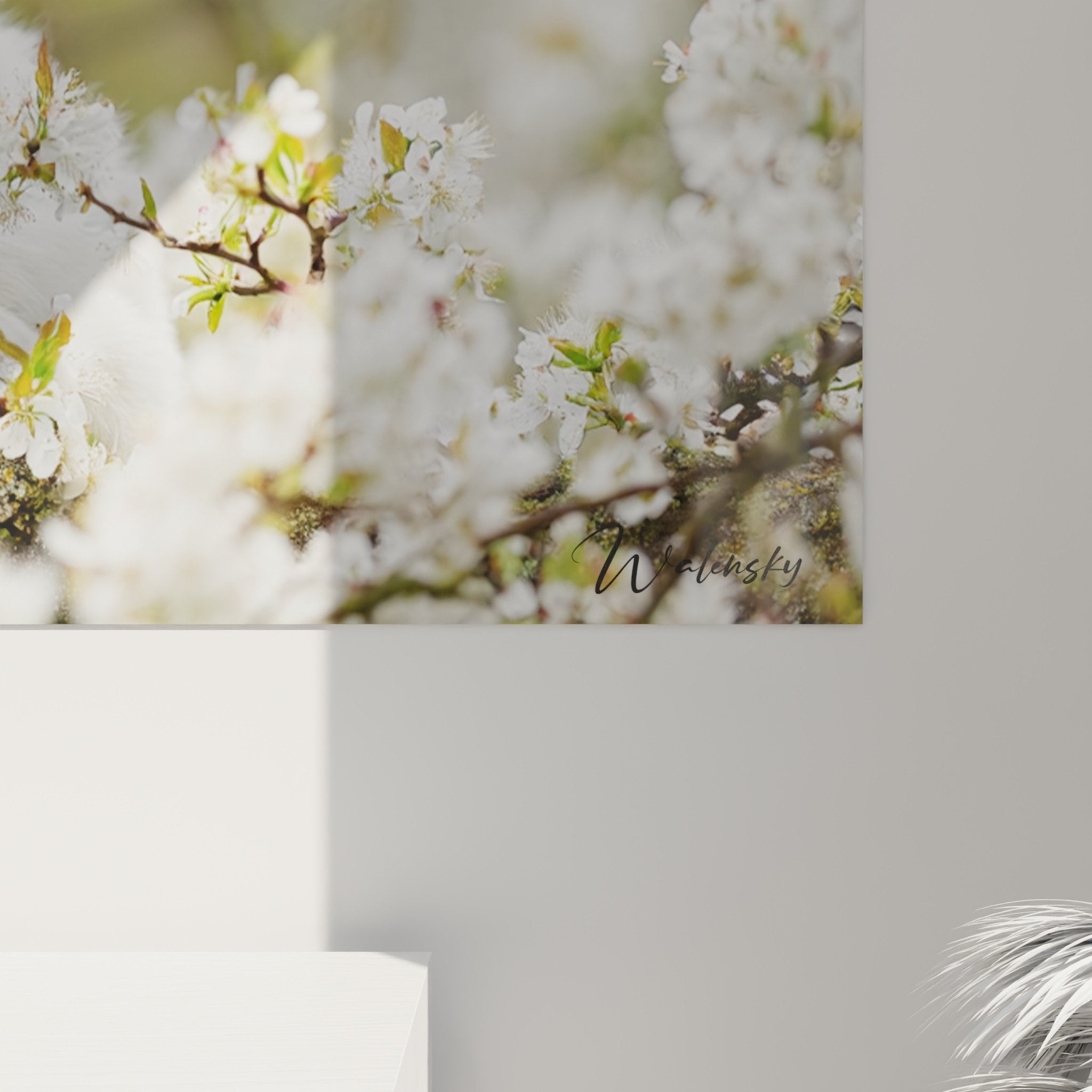 tableau mural berger blanc suisse cerisiers fleurs salon decoration art canin nature