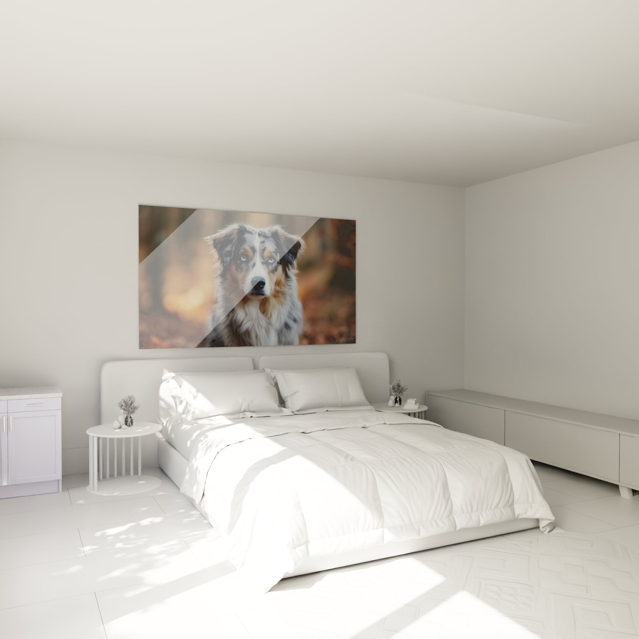 Australian Shepherd blauäugig Wandbild Schlafzimmer Wanddekoration Porträt dreifarbiger Hund modern