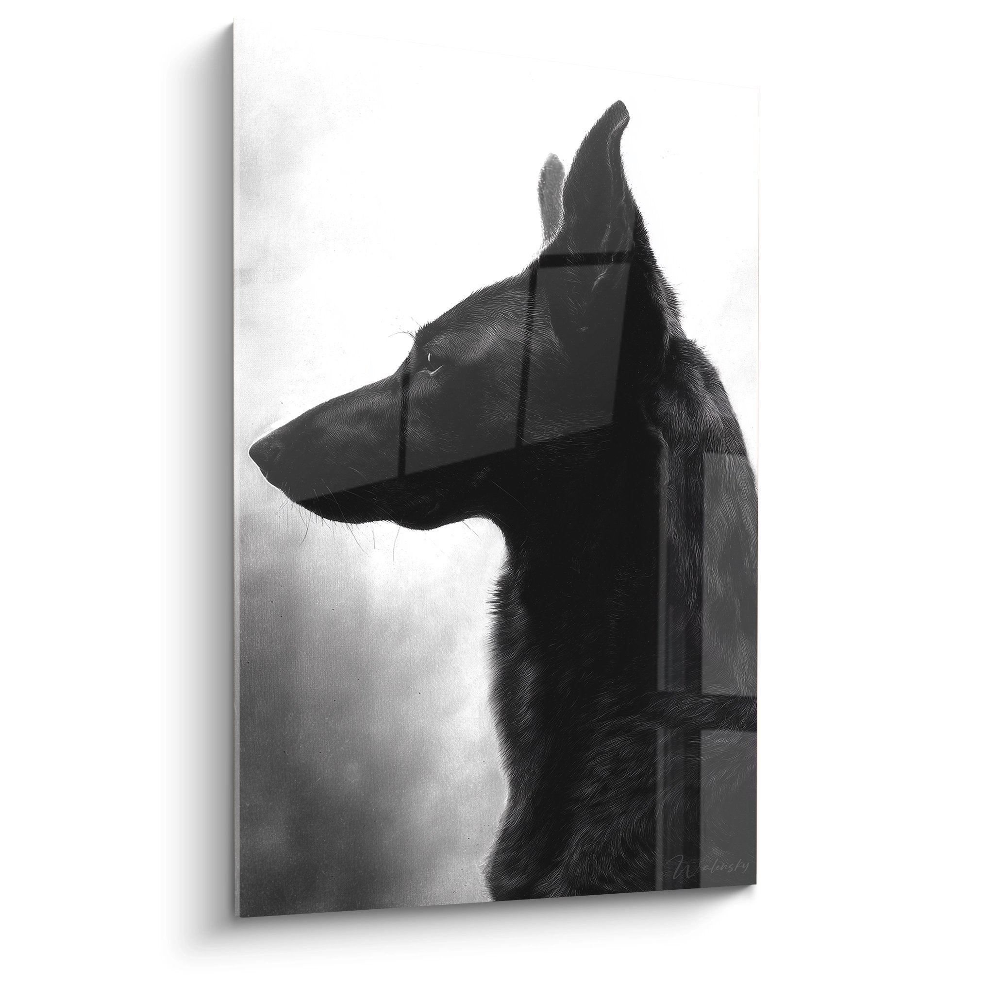 Portrait artistique noir et blanc d'un Berger Hollandais de profil sur fond dégradé, ambiance contemplative