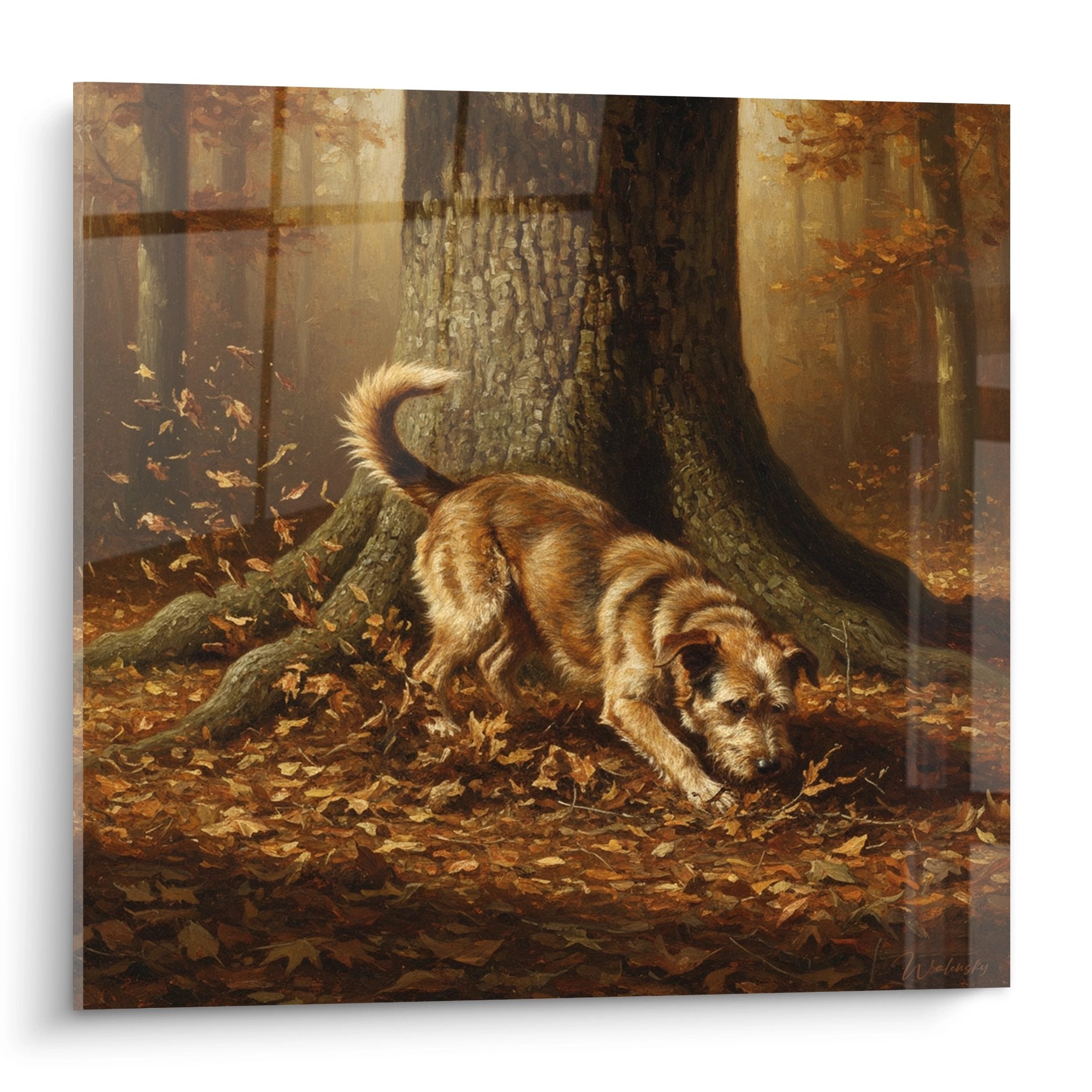 Berger Picard fouillant dans les feuilles automne foret brumeuse tableau mural decoration nature chien