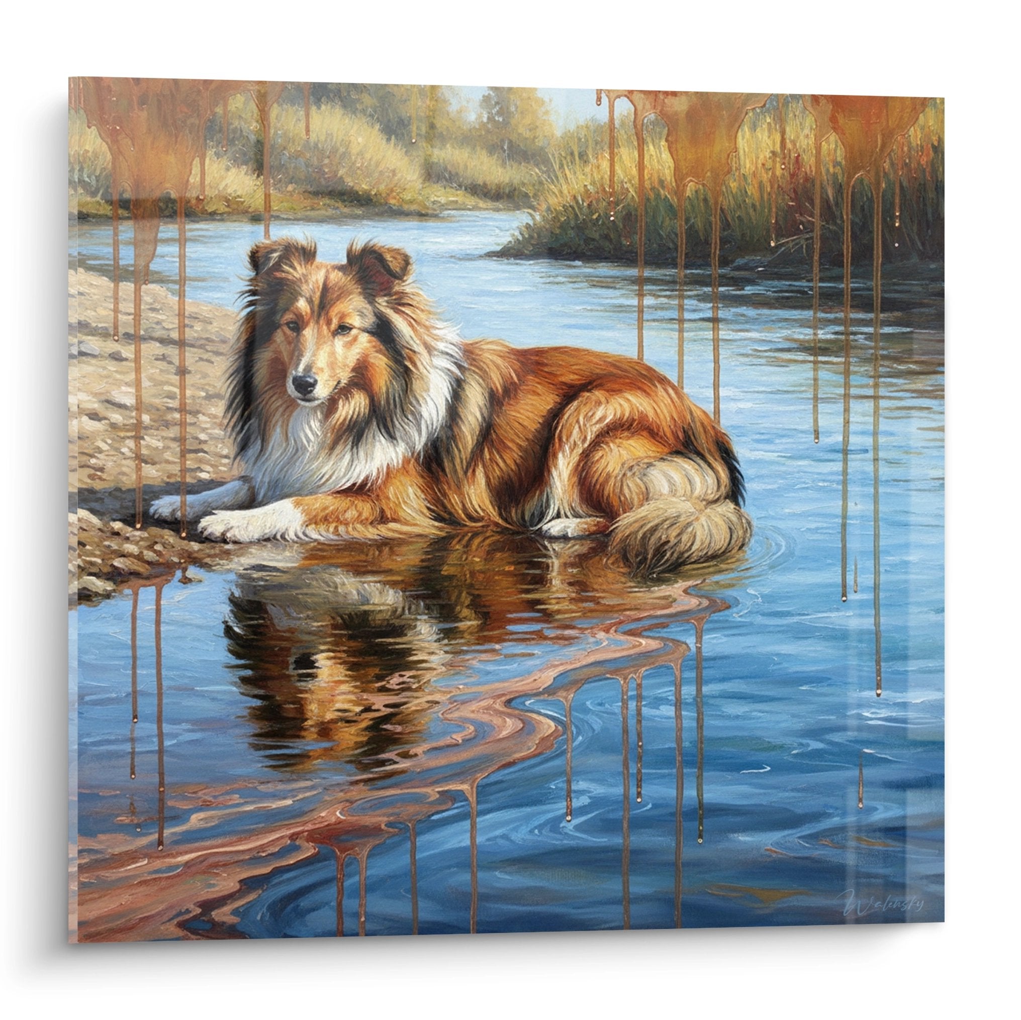 berger des shetland couche bord eau paysage dore coulures peinture reflets aquatiques tons chauds
