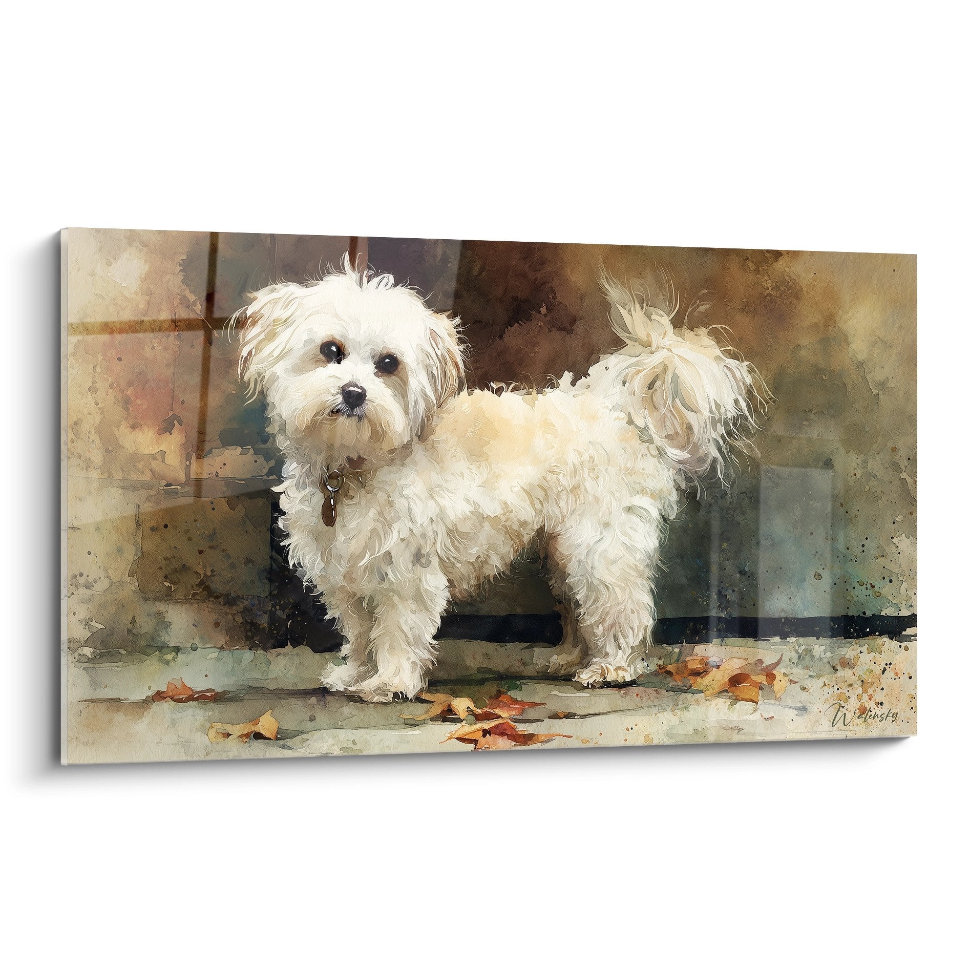 Tableau aquarelle Bichon Havanais blanc assis sur feuilles automne dorées regard tendre