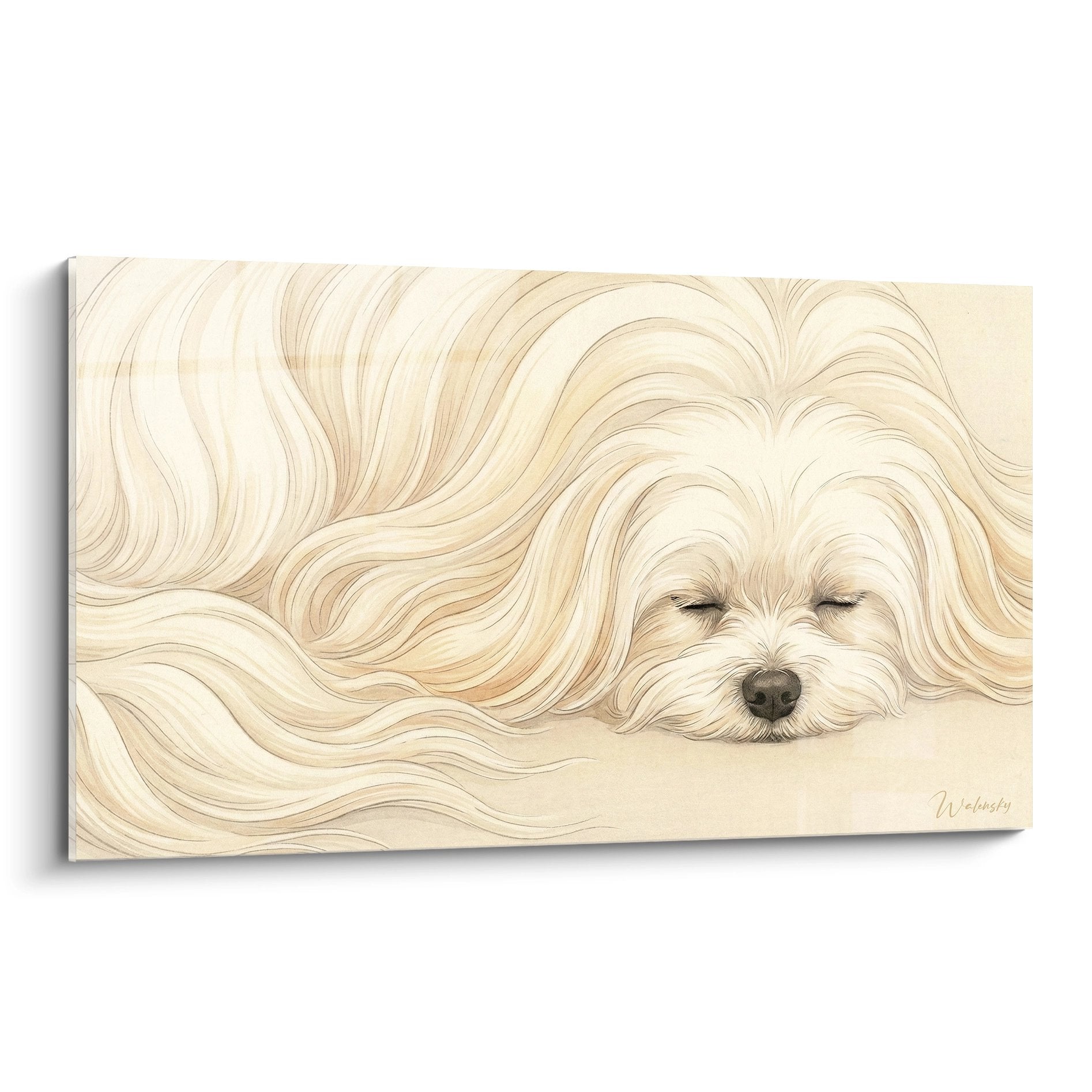 tableau bichon maltais endormi poils dores ondulant fond beige art animalier serein