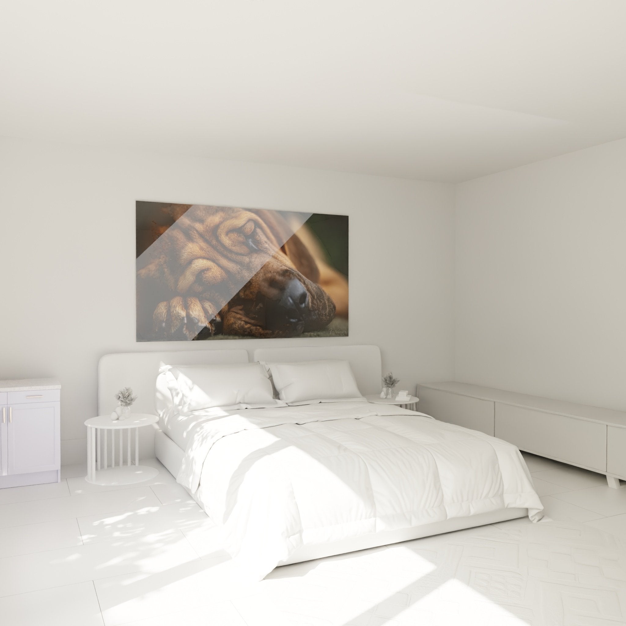 Tableau chien endormi bloodhound dans chambre cocooning aux murs beiges