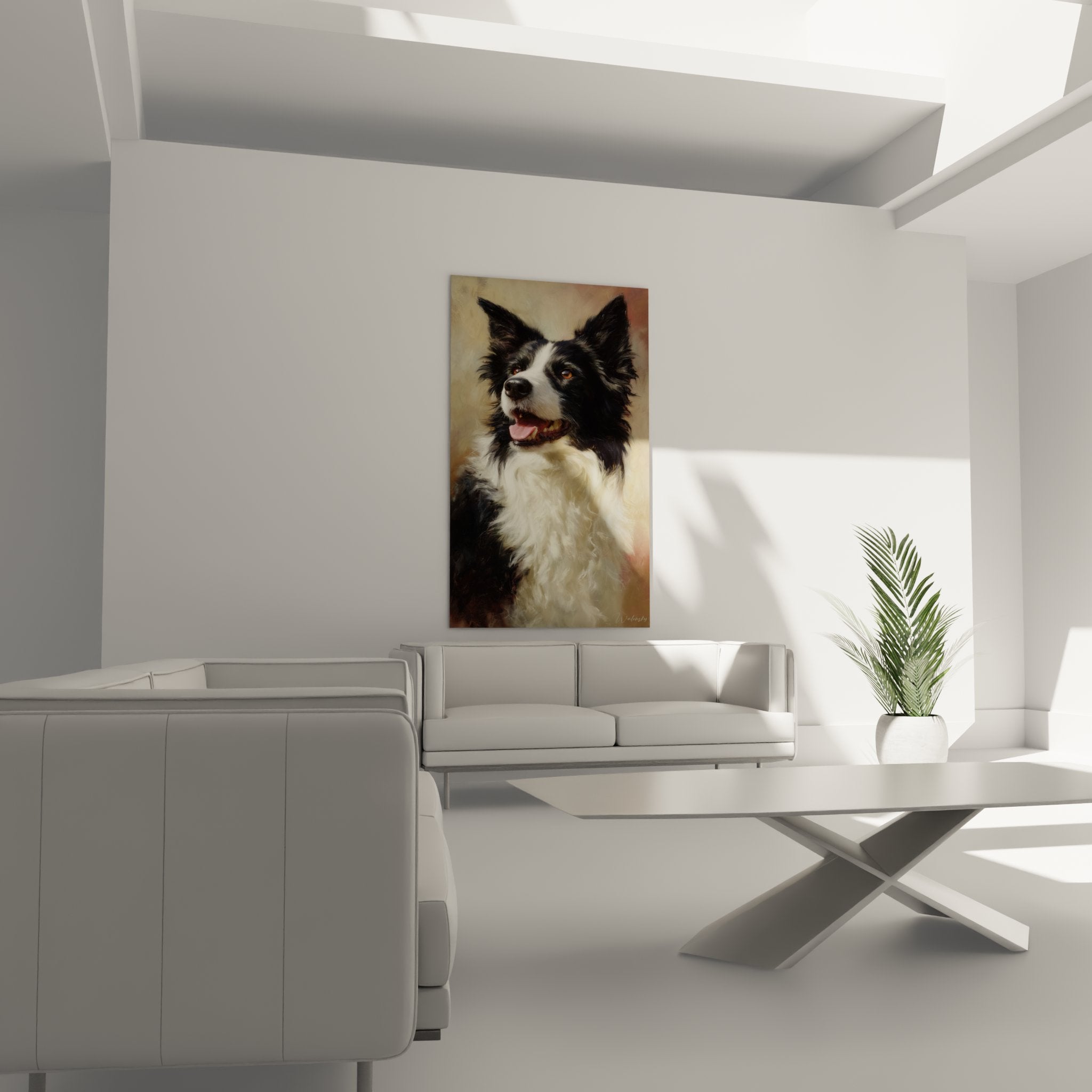 Gros plan Border Collie noir blanc yeux ambre detail pelage art mural qualite