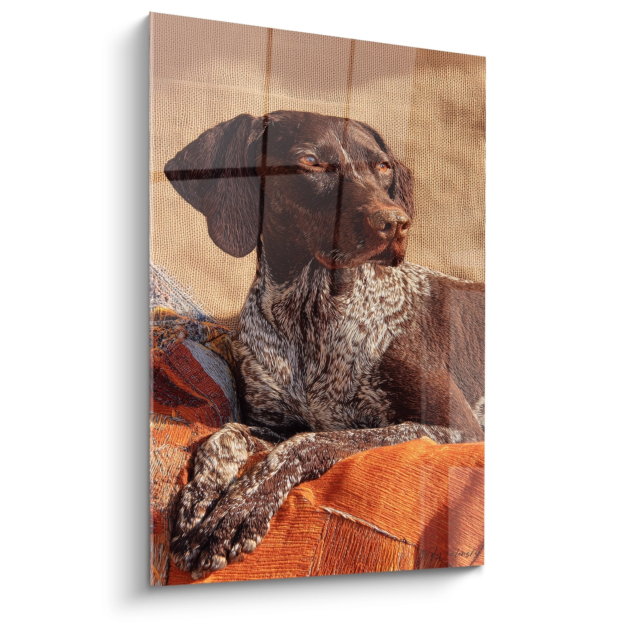 German Shorthaired Pointer brown speckled coat on orange caramel tones sofa decorative wall art