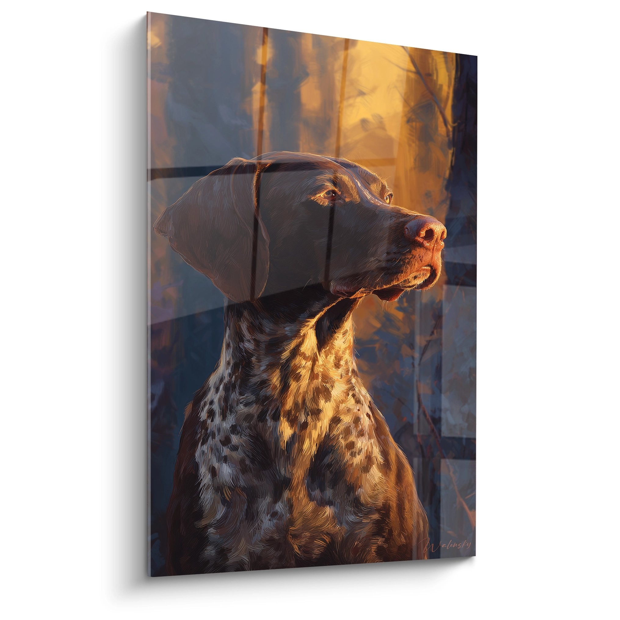Portrait de Braque Allemand de profil aux reflets dorés dans lumière automnale chaude sur tableau mural