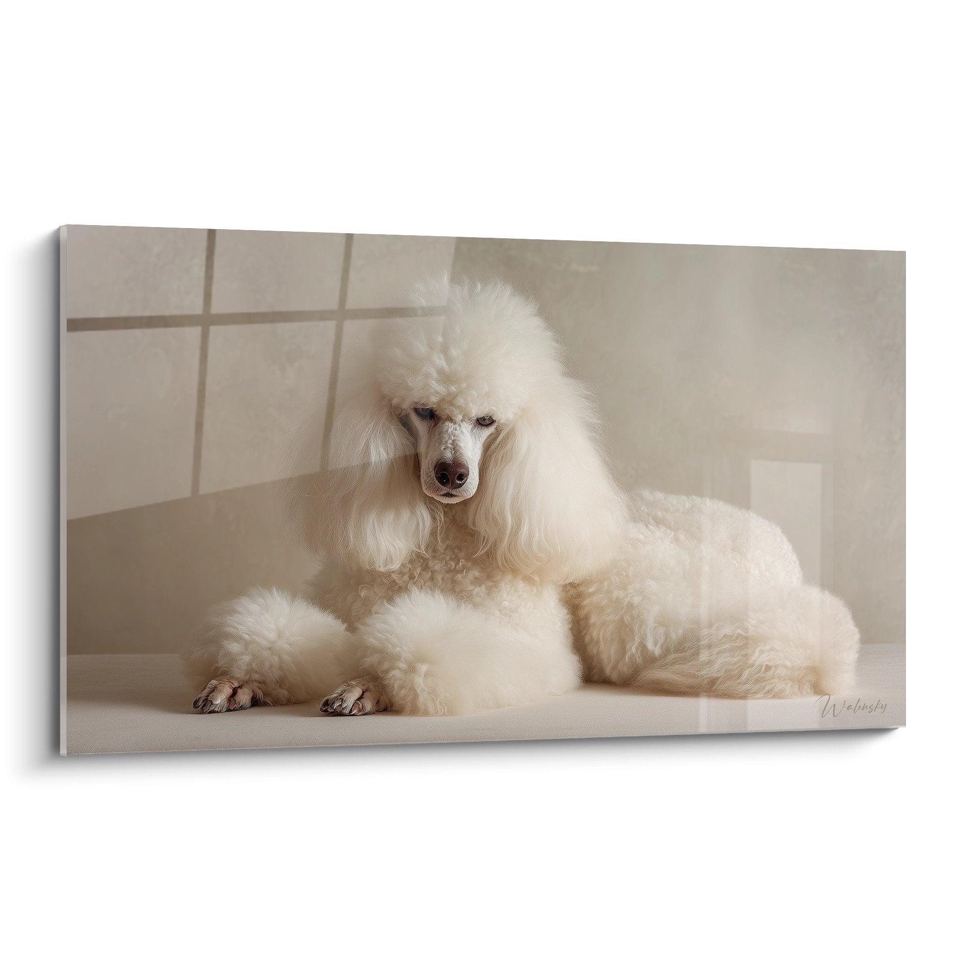 Caniche blanc élégant au pelage bouclé posant dans salle de bain aux tons beiges, portrait animalier raffiné