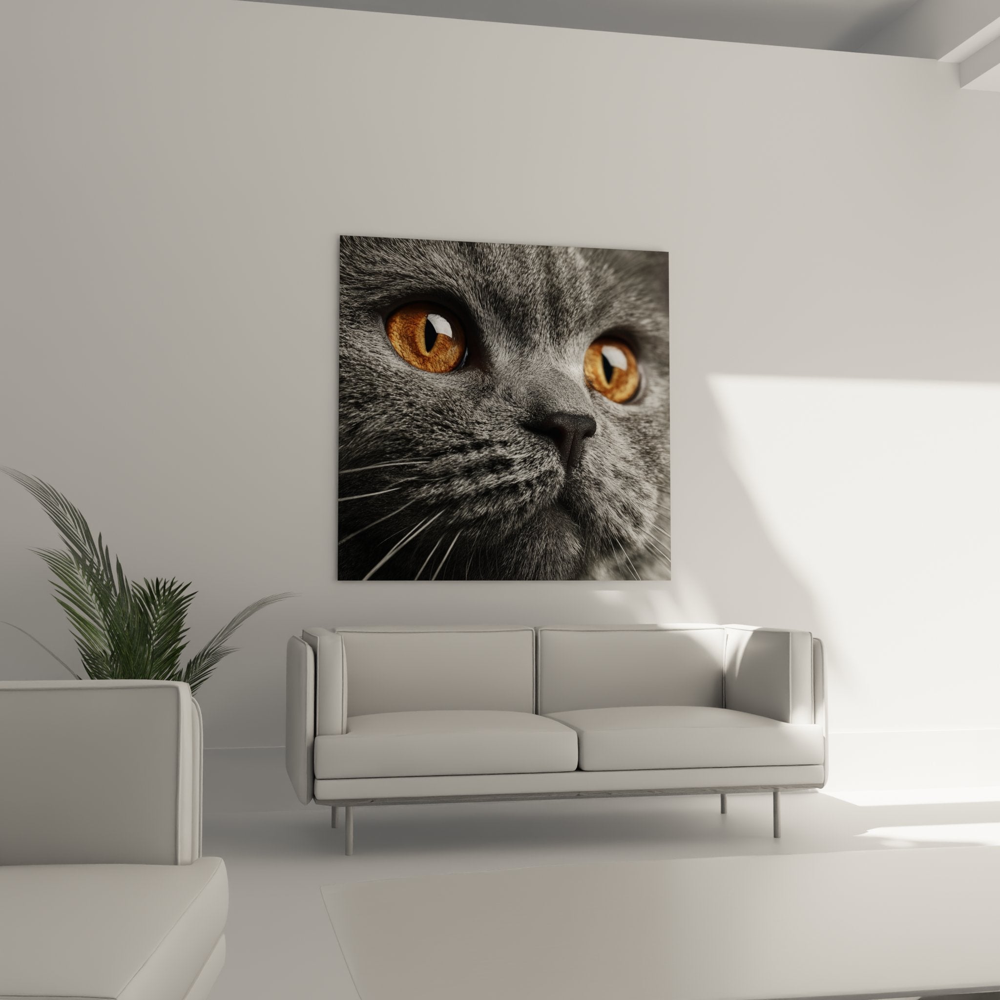 Macro detail amber golden eyes Scottish Fold cat, gray fur texture, high definition print quality