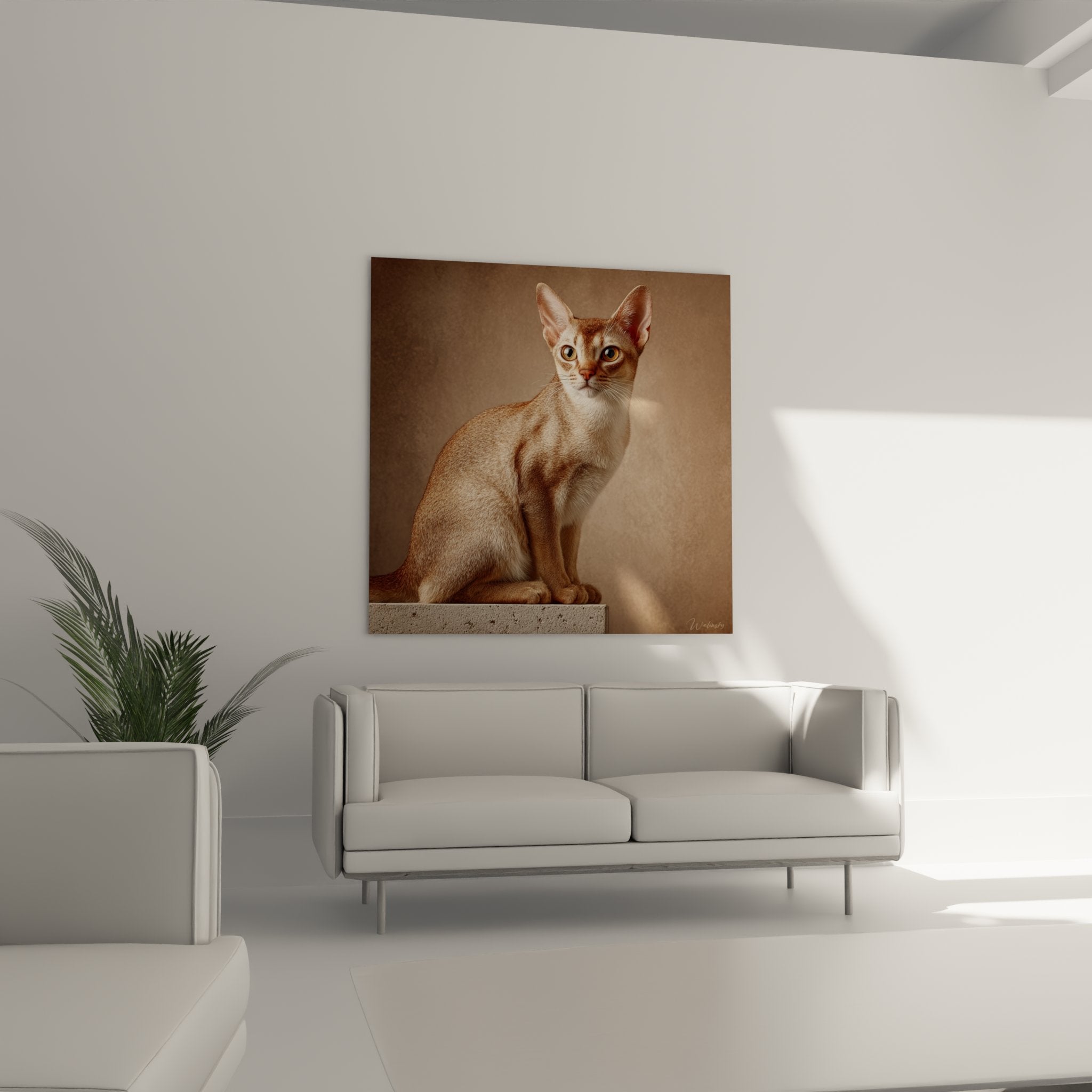 Close-up portrait of Singapura cat with large expressive eyes and characteristic pointed ears
