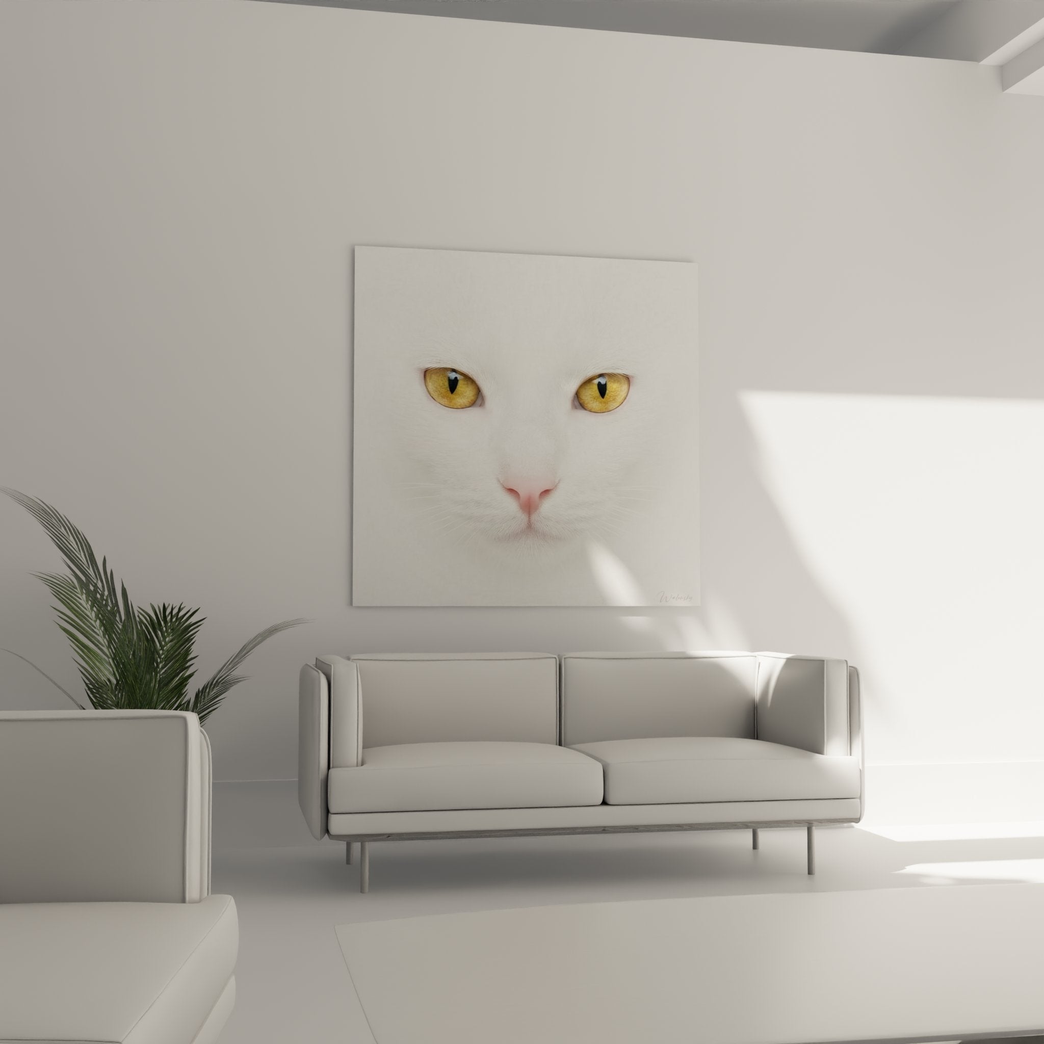 Gros plan yeux dores chat Khao Manee tableau artistique detail iris ambre pupilles noires portrait felin