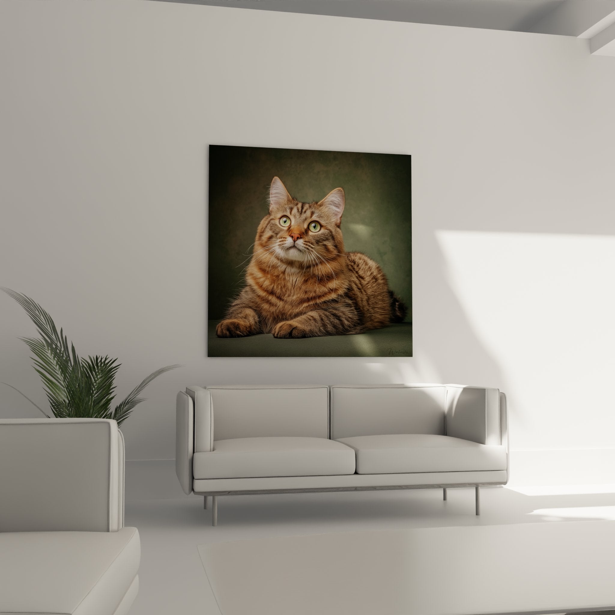 Gros plan portrait chat American Bobtail tabby aux yeux verts perçants et fourrure dense