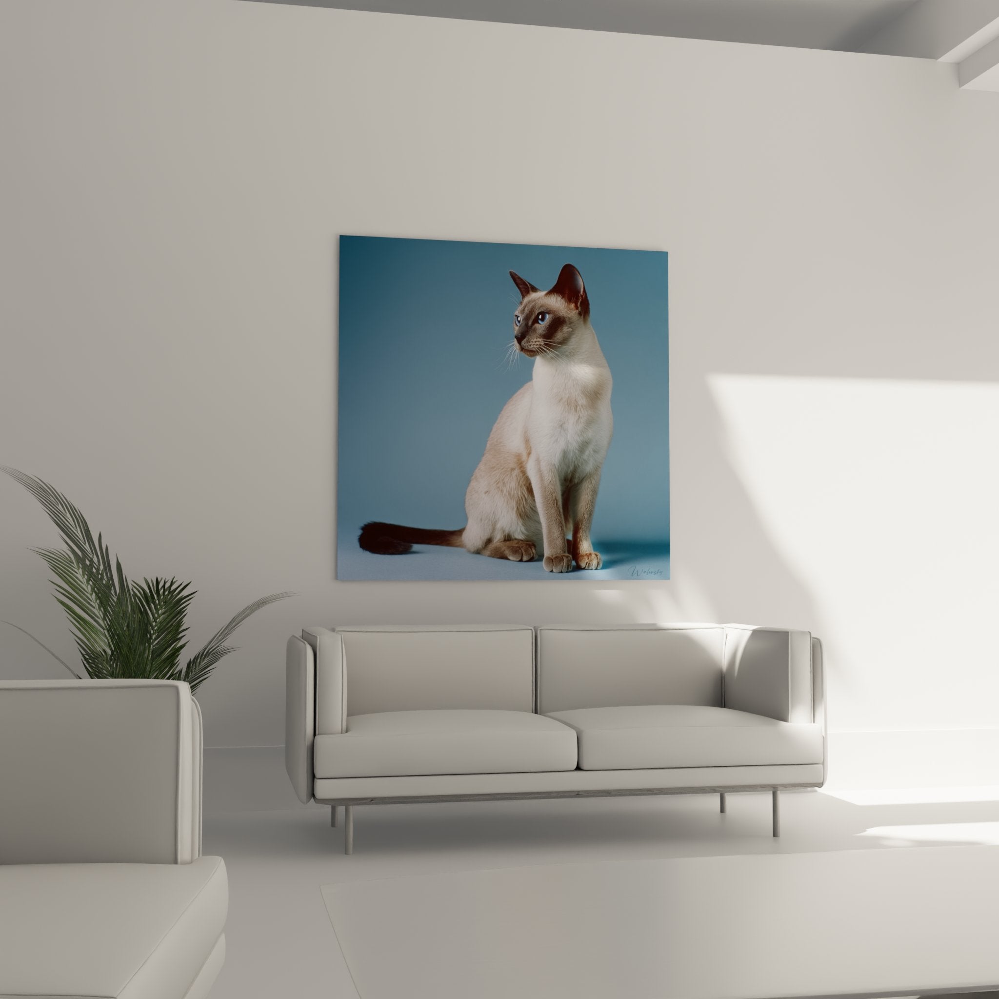 Primo piano sul gatto Tonkinese del quadro, dettaglio degli occhi blu e del mantello beige caratteristico della razza