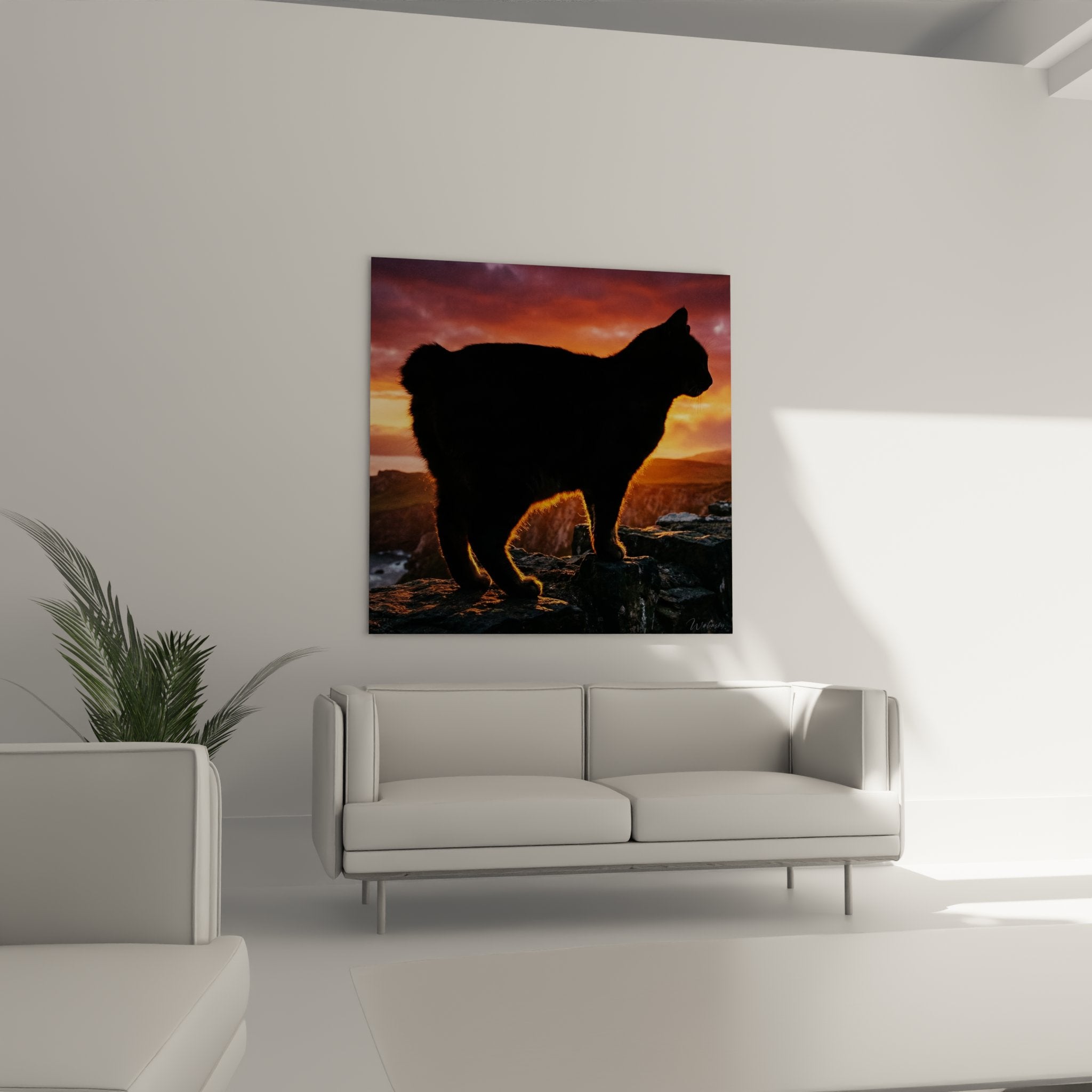 Dettaglio ravvicinato del quadro che mostra la texture del mantello del gatto Manx illuminato dai raggi dorati del sole