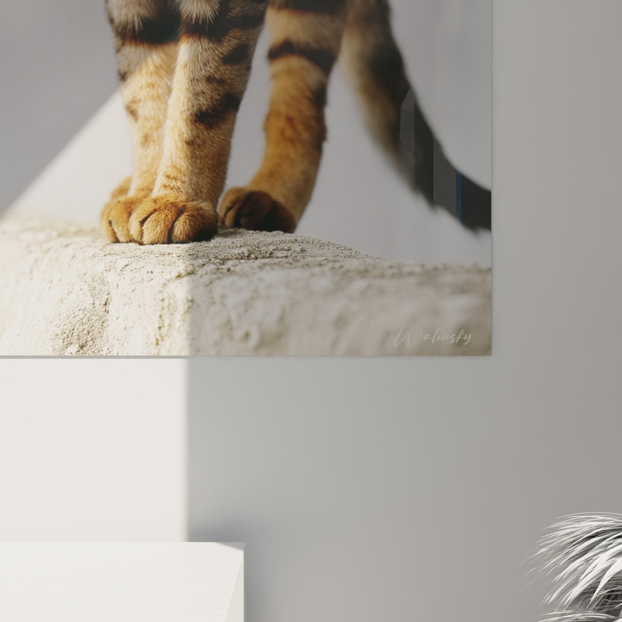Visione d'insieme quadro murale gatto Sokoke, cornice elegante, integrazione armoniosa in interno contemporaneo