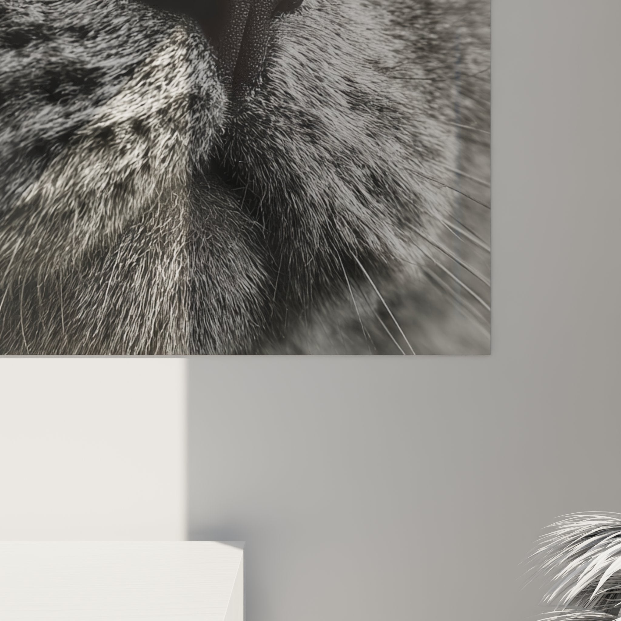 Overview portrait Scottish Fold wall art on white wall, cat wall art for modern interior decoration