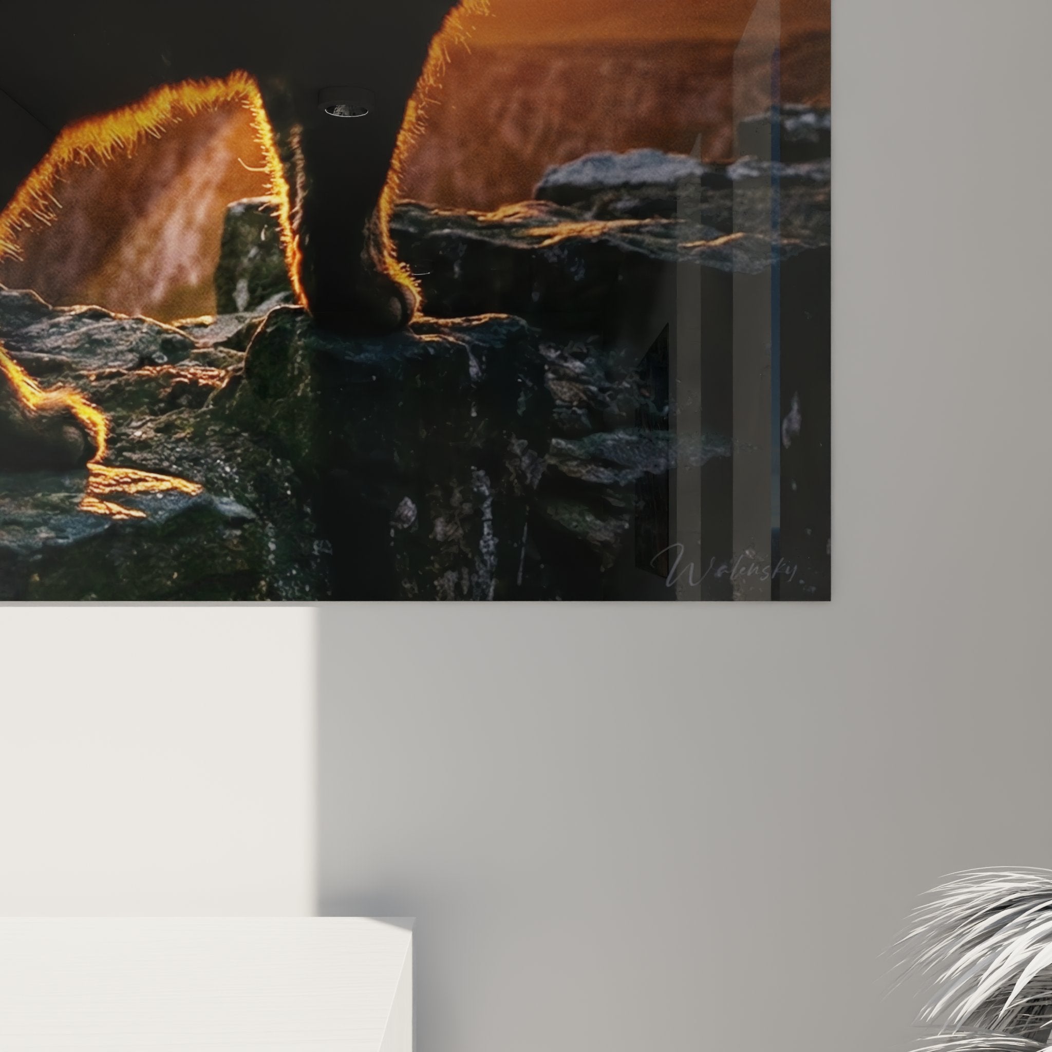 Panoramica del quadro gatto Manx in un soggiorno contemporaneo, che crea un'atmosfera serena e raffinata