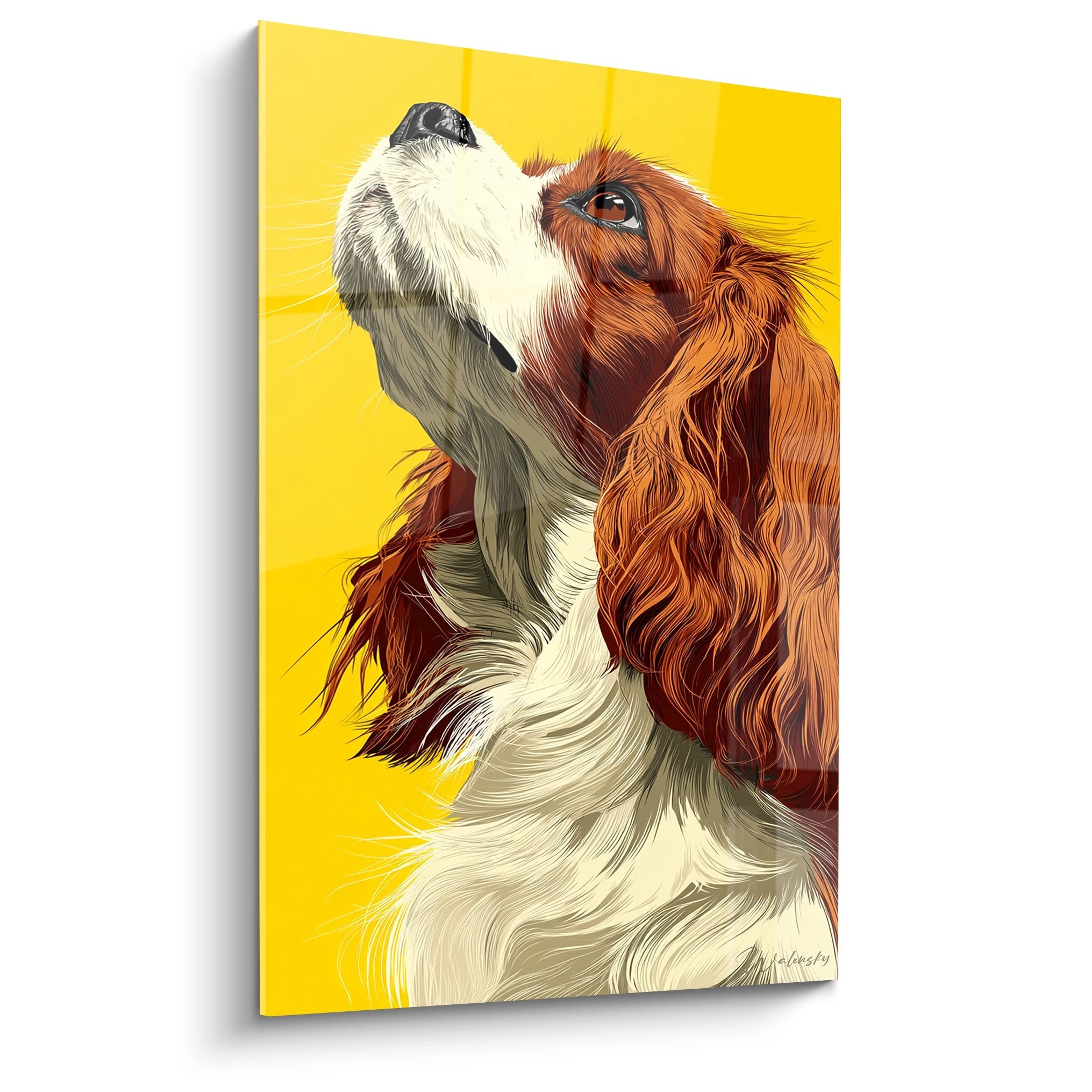 Portrait d'un Cavalier King Charles roux et blanc sur fond jaune levant les yeux avec tendresse