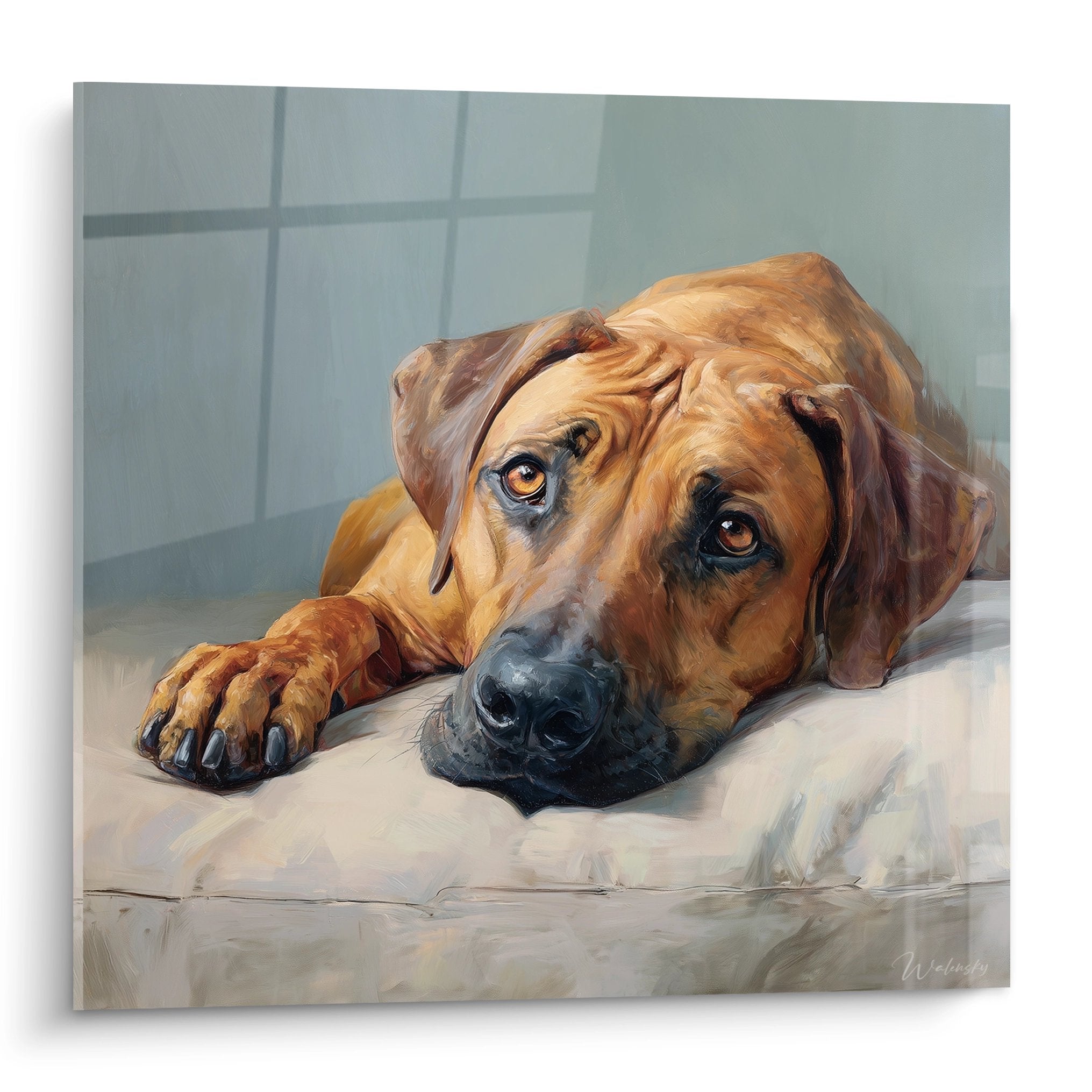 Tableau chien couché yeux dorés carrelage rhodesian ridgeback regard mélancolique peinture