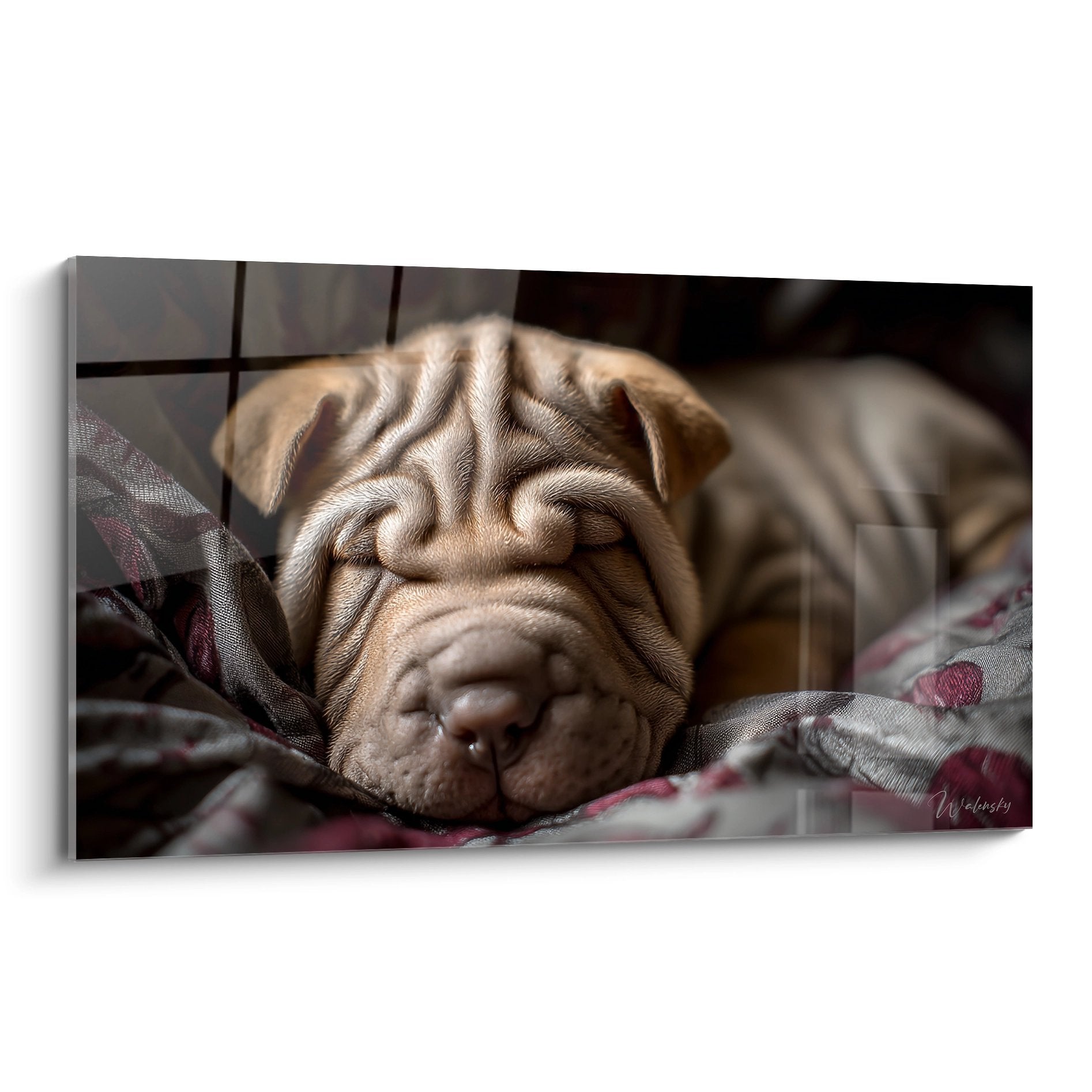 Chiot Shar Pei endormi sur couverture florale rose et beige dans lumiere douce