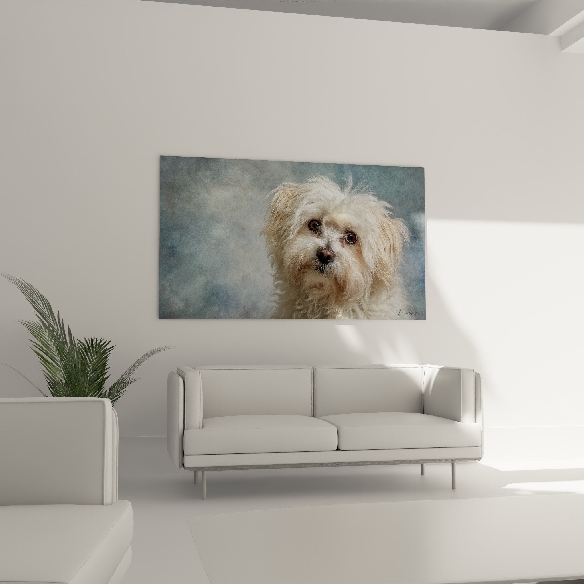 Gros plan portrait Coton de Tulear yeux bruns expressifs pelage boucle blanc creme art canin