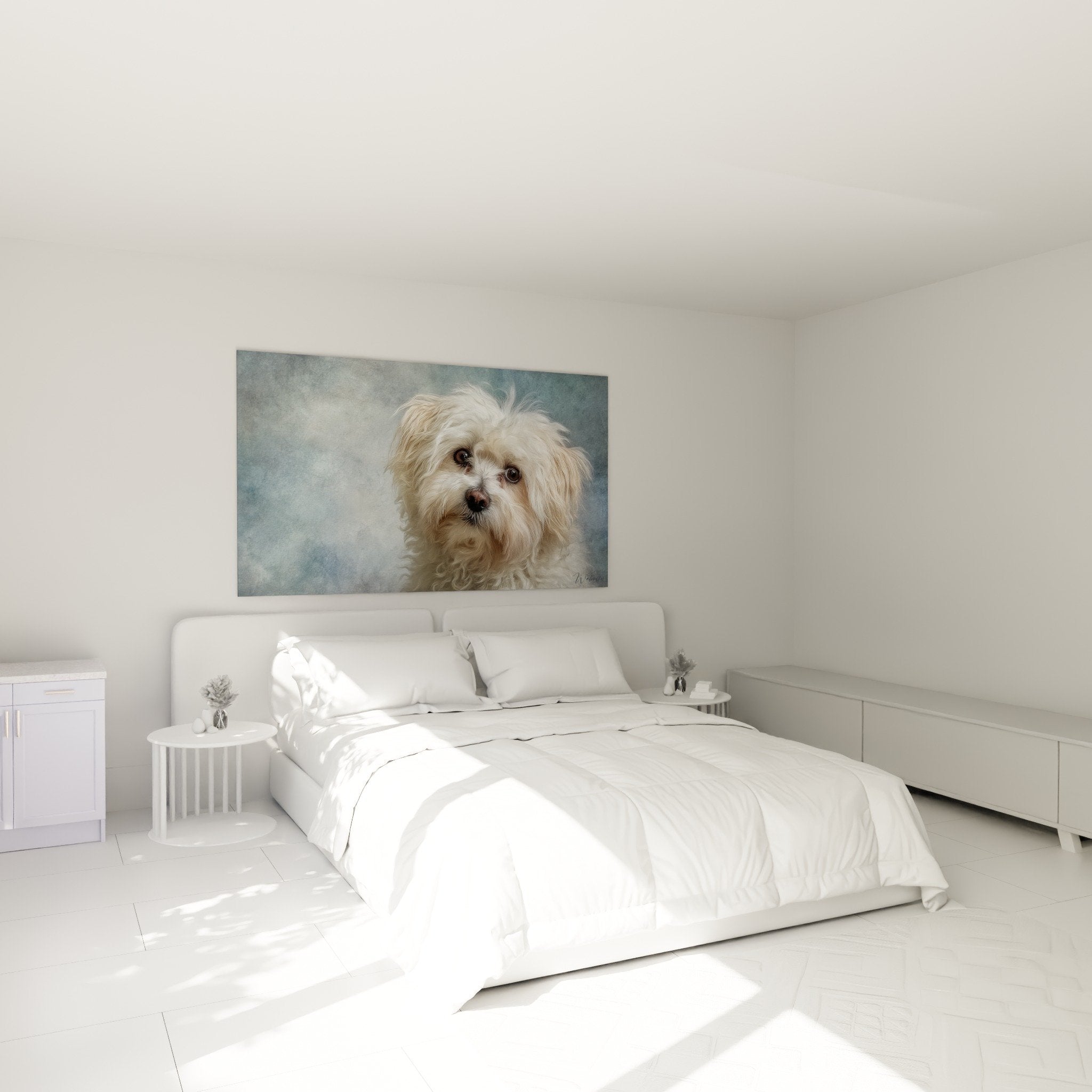 Tableau Coton de Tulear chambre decoration murale chien blanc regard melancolique ambiance douce