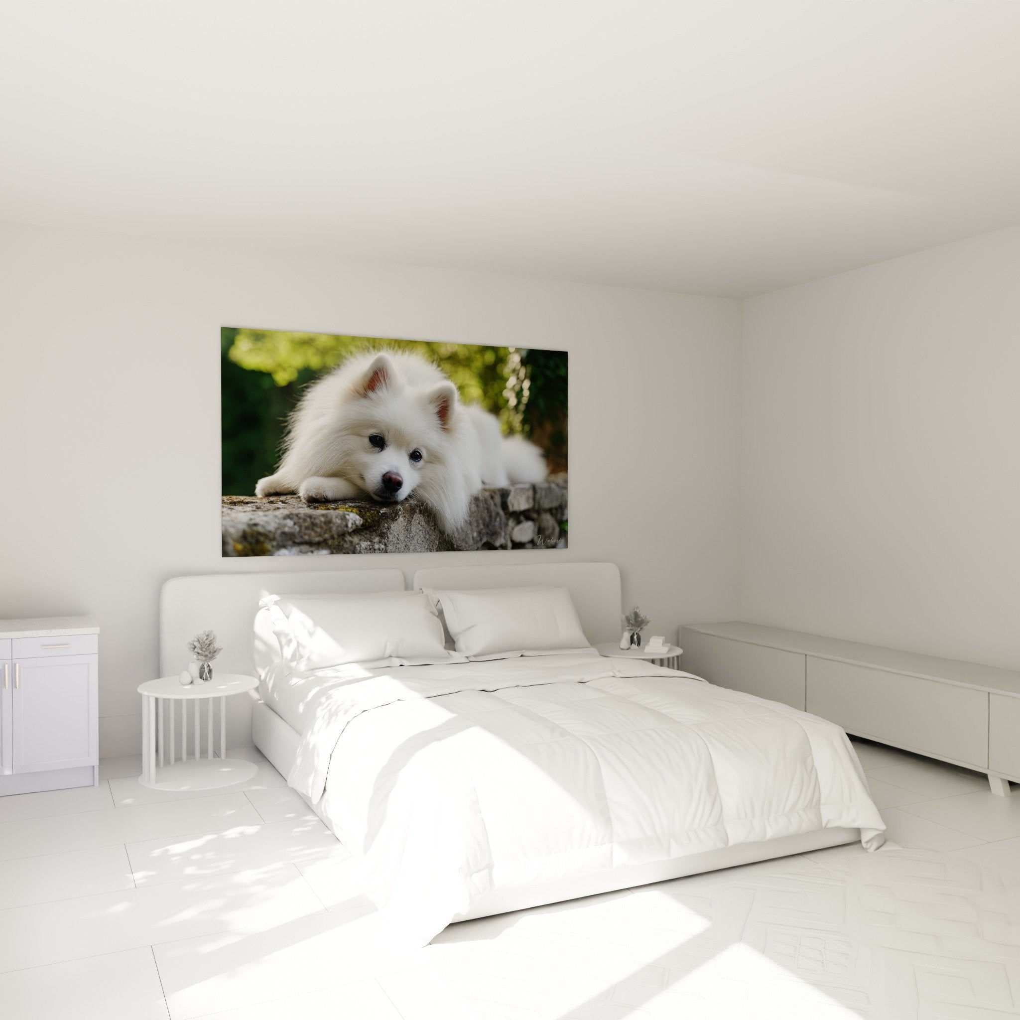 Tableau Spitz Japonais blanc décorant une chambre moderne avec murs clairs et mobilier naturel