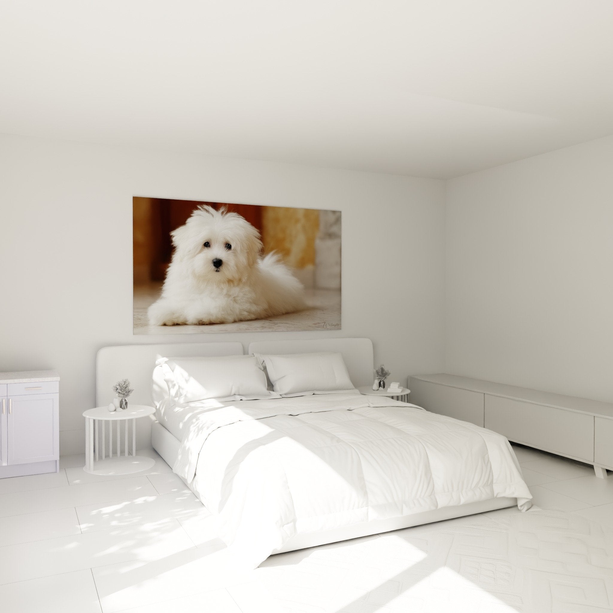 Tableau mural Coton de Tuléar blanc dans chambre moderne, décoration murale chien mignon pelage cotonneux