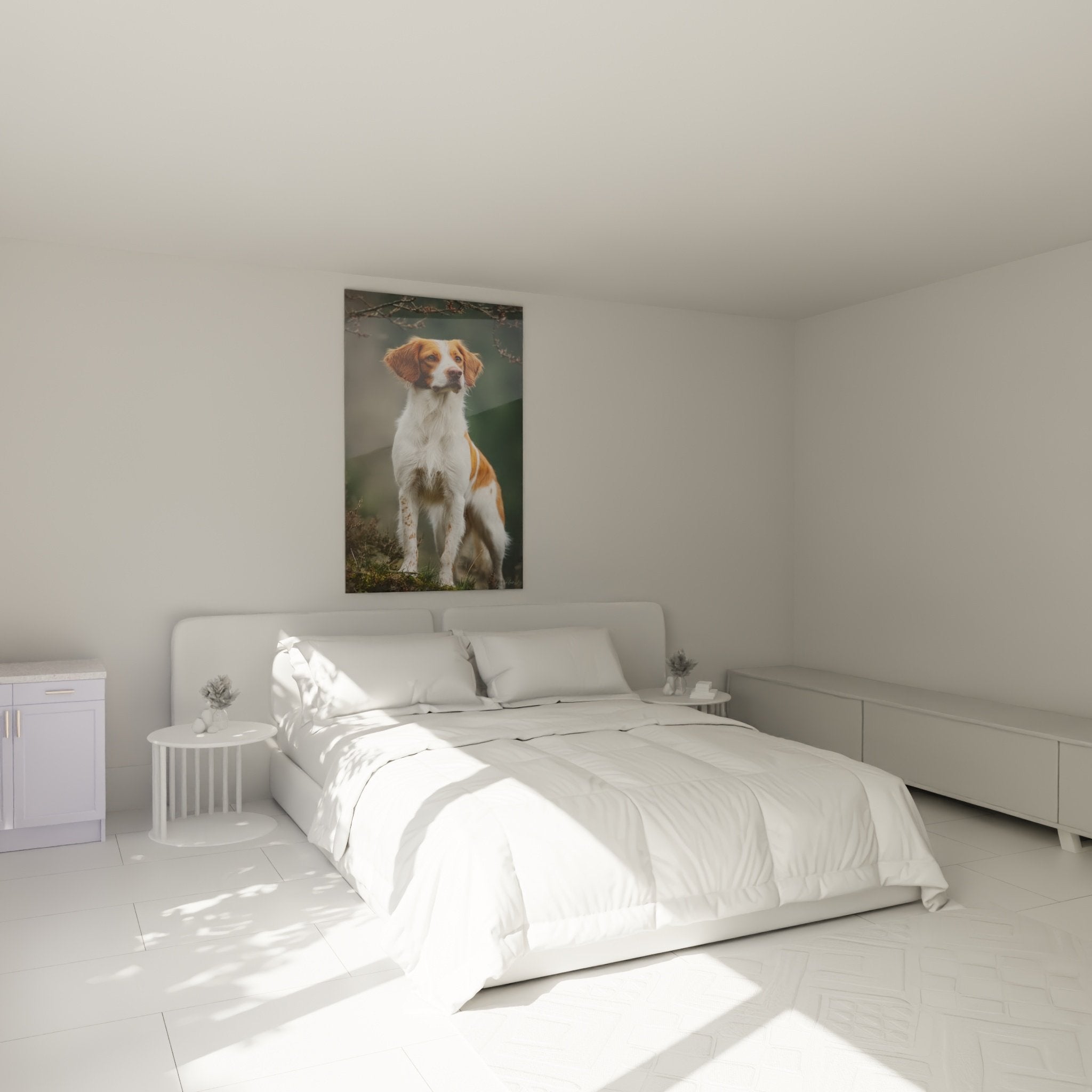 Quadro Spaniel Bretone bianco e rosso che decora una camera moderna con tonalità naturali