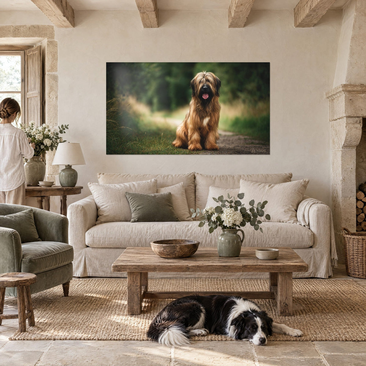 Πίνακας καθιστού Briard με μακριά ξανθοκόκκινη γούνα και ροζ γλώσσα, σε πράσινο μονοπάτι· κρεμασμένος πάνω από καναπέ σε φωτεινό σαλόνι